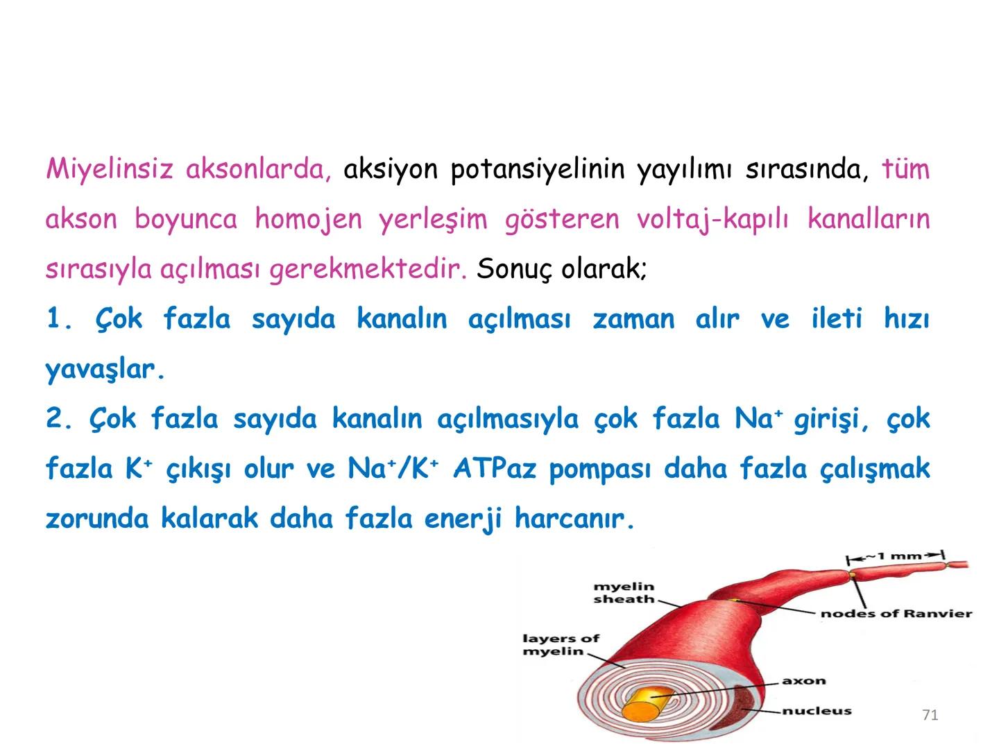 # BİYOFİZİĞE GİRİŞ
Doç. Dr. Nurten Bahtiyar Canlı varlıkların yapı ve işlevleri, tek bir disiplinin
içinden çıkamayacağı kadar karmaşıktır.
