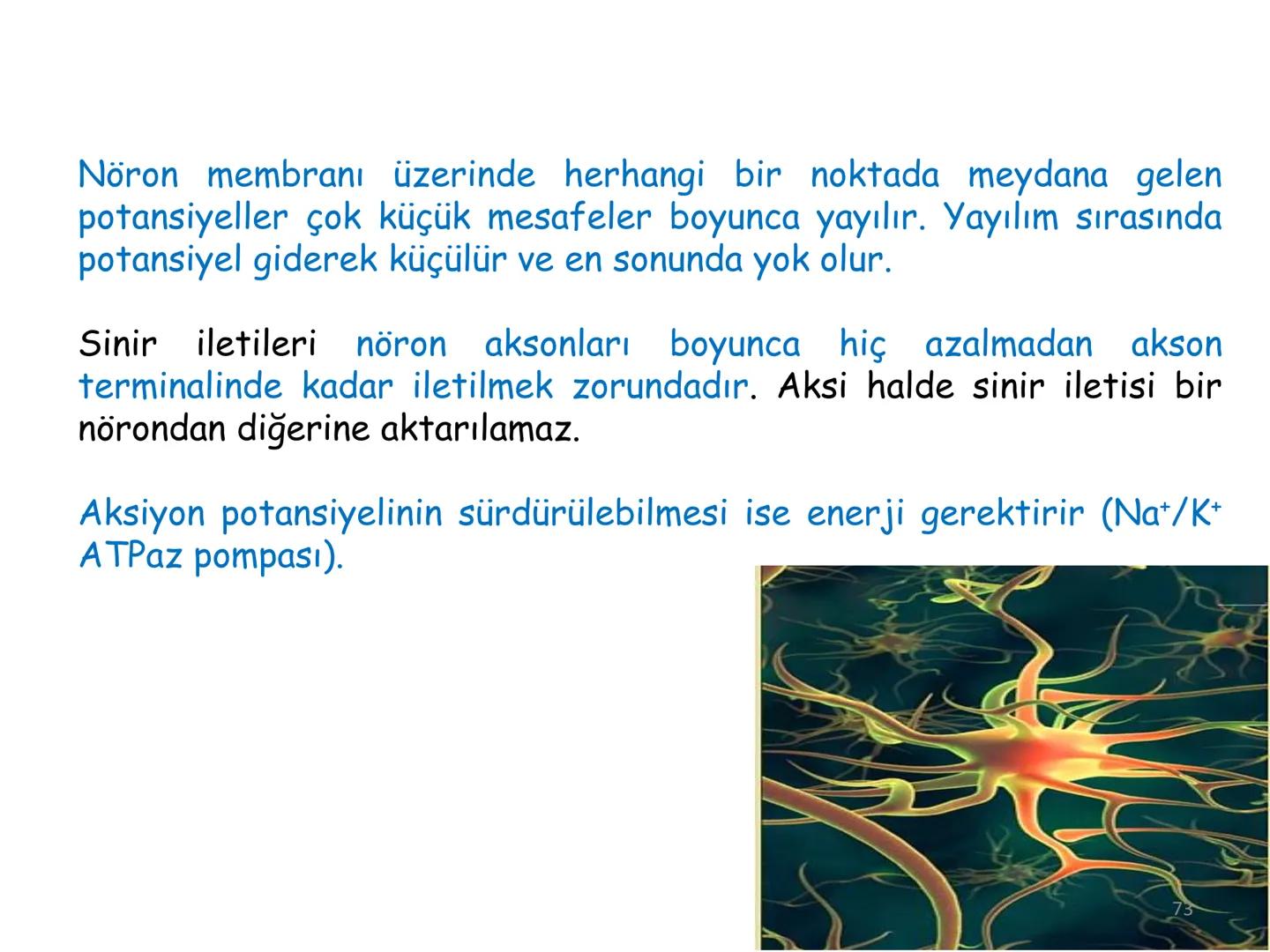 # BİYOFİZİĞE GİRİŞ
Doç. Dr. Nurten Bahtiyar Canlı varlıkların yapı ve işlevleri, tek bir disiplinin
içinden çıkamayacağı kadar karmaşıktır.