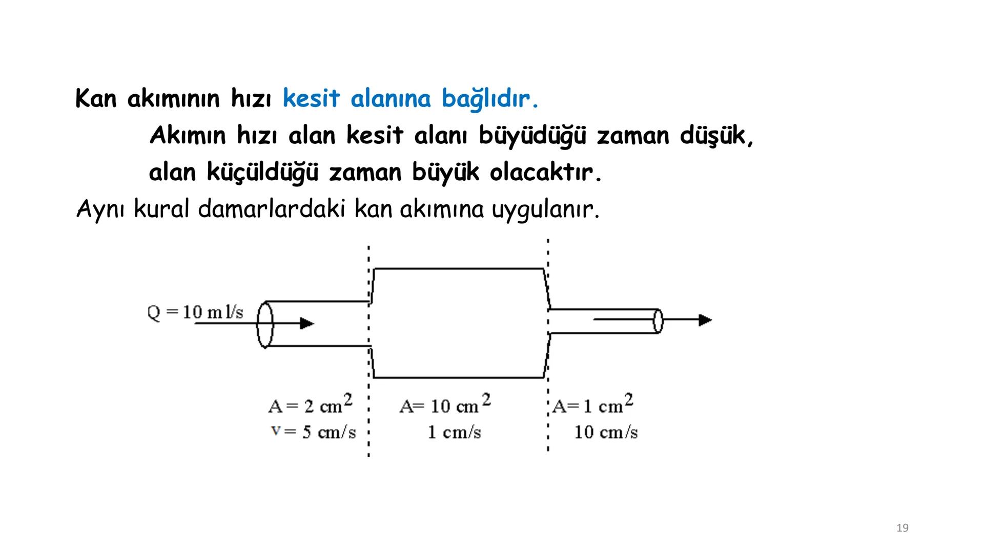 # BİYOFİZİĞE GİRİŞ
Doç. Dr. Nurten Bahtiyar Canlı varlıkların yapı ve işlevleri, tek bir disiplinin
içinden çıkamayacağı kadar karmaşıktır.