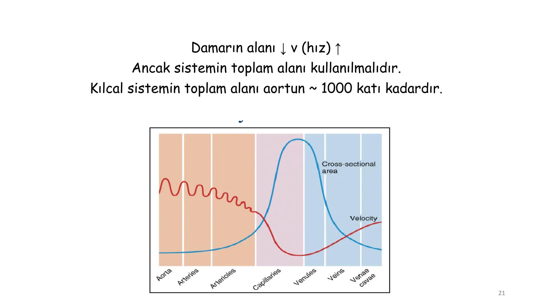 # BİYOFİZİĞE GİRİŞ
Doç. Dr. Nurten Bahtiyar Canlı varlıkların yapı ve işlevleri, tek bir disiplinin
içinden çıkamayacağı kadar karmaşıktır.