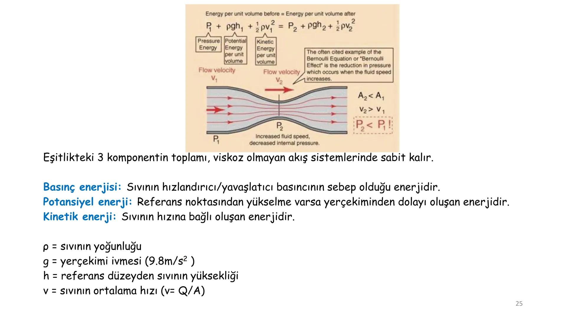 # BİYOFİZİĞE GİRİŞ
Doç. Dr. Nurten Bahtiyar Canlı varlıkların yapı ve işlevleri, tek bir disiplinin
içinden çıkamayacağı kadar karmaşıktır.