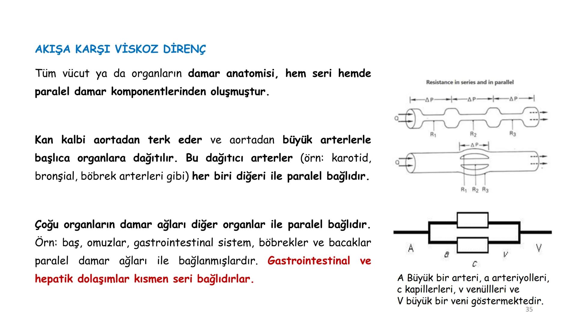# BİYOFİZİĞE GİRİŞ
Doç. Dr. Nurten Bahtiyar Canlı varlıkların yapı ve işlevleri, tek bir disiplinin
içinden çıkamayacağı kadar karmaşıktır.
