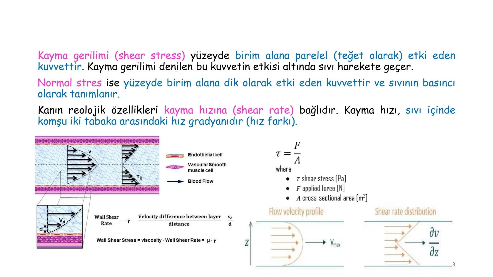 # BİYOFİZİĞE GİRİŞ
Doç. Dr. Nurten Bahtiyar Canlı varlıkların yapı ve işlevleri, tek bir disiplinin
içinden çıkamayacağı kadar karmaşıktır.
