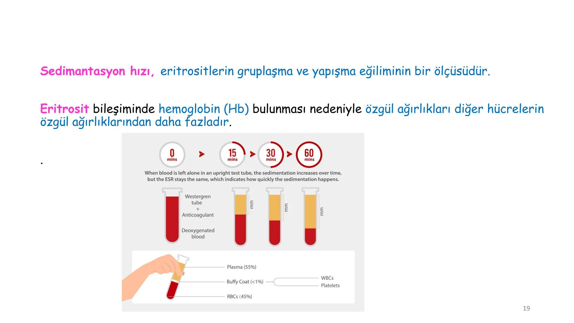 # BİYOFİZİĞE GİRİŞ
Doç. Dr. Nurten Bahtiyar Canlı varlıkların yapı ve işlevleri, tek bir disiplinin
içinden çıkamayacağı kadar karmaşıktır.
