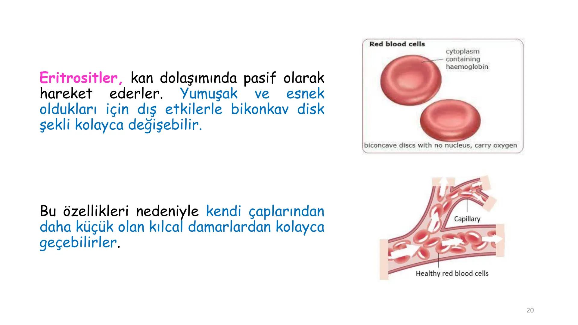 # BİYOFİZİĞE GİRİŞ
Doç. Dr. Nurten Bahtiyar Canlı varlıkların yapı ve işlevleri, tek bir disiplinin
içinden çıkamayacağı kadar karmaşıktır.