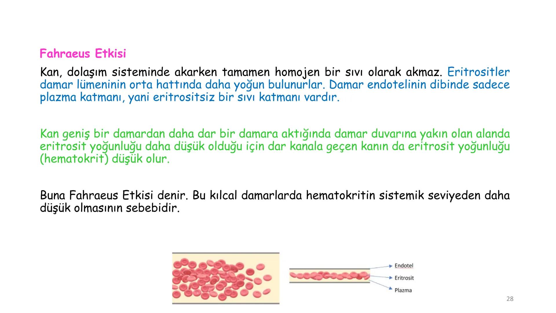 # BİYOFİZİĞE GİRİŞ
Doç. Dr. Nurten Bahtiyar Canlı varlıkların yapı ve işlevleri, tek bir disiplinin
içinden çıkamayacağı kadar karmaşıktır.