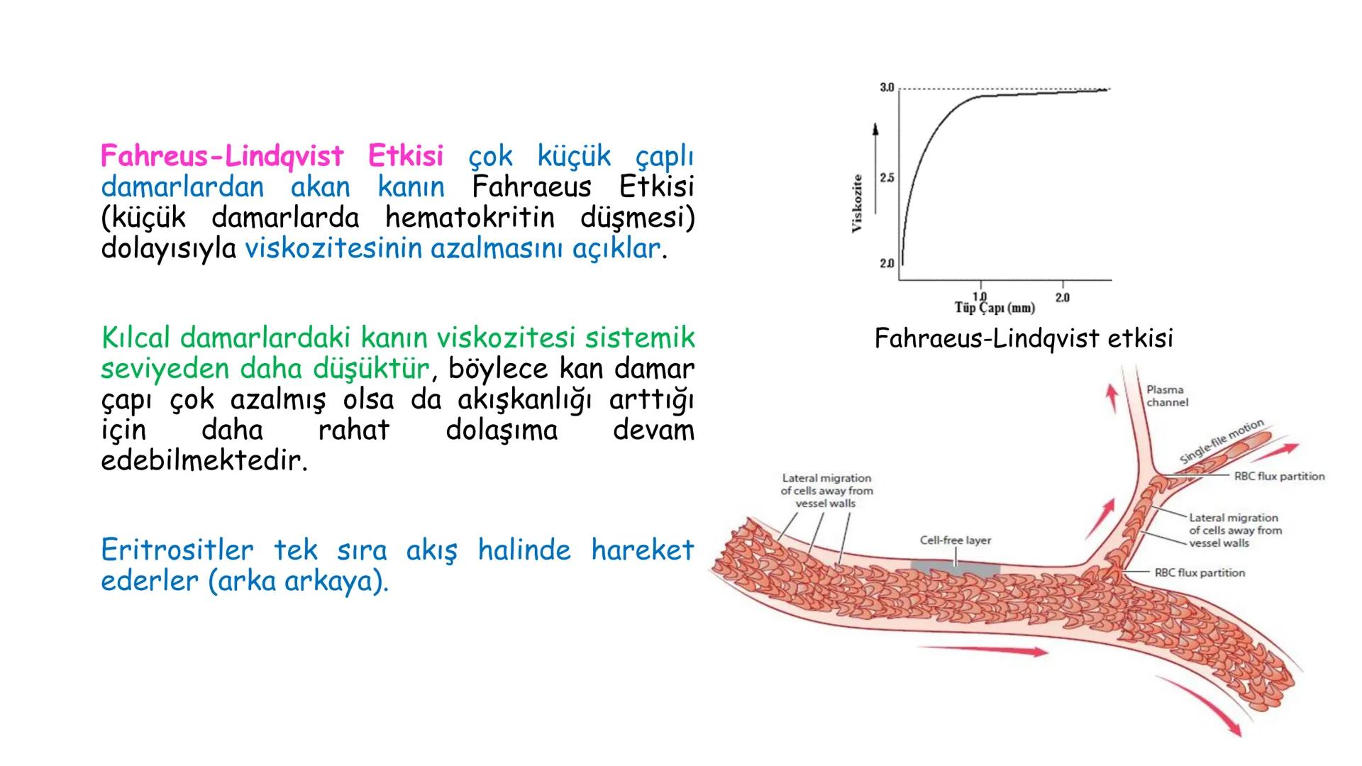 # BİYOFİZİĞE GİRİŞ
Doç. Dr. Nurten Bahtiyar Canlı varlıkların yapı ve işlevleri, tek bir disiplinin
içinden çıkamayacağı kadar karmaşıktır.