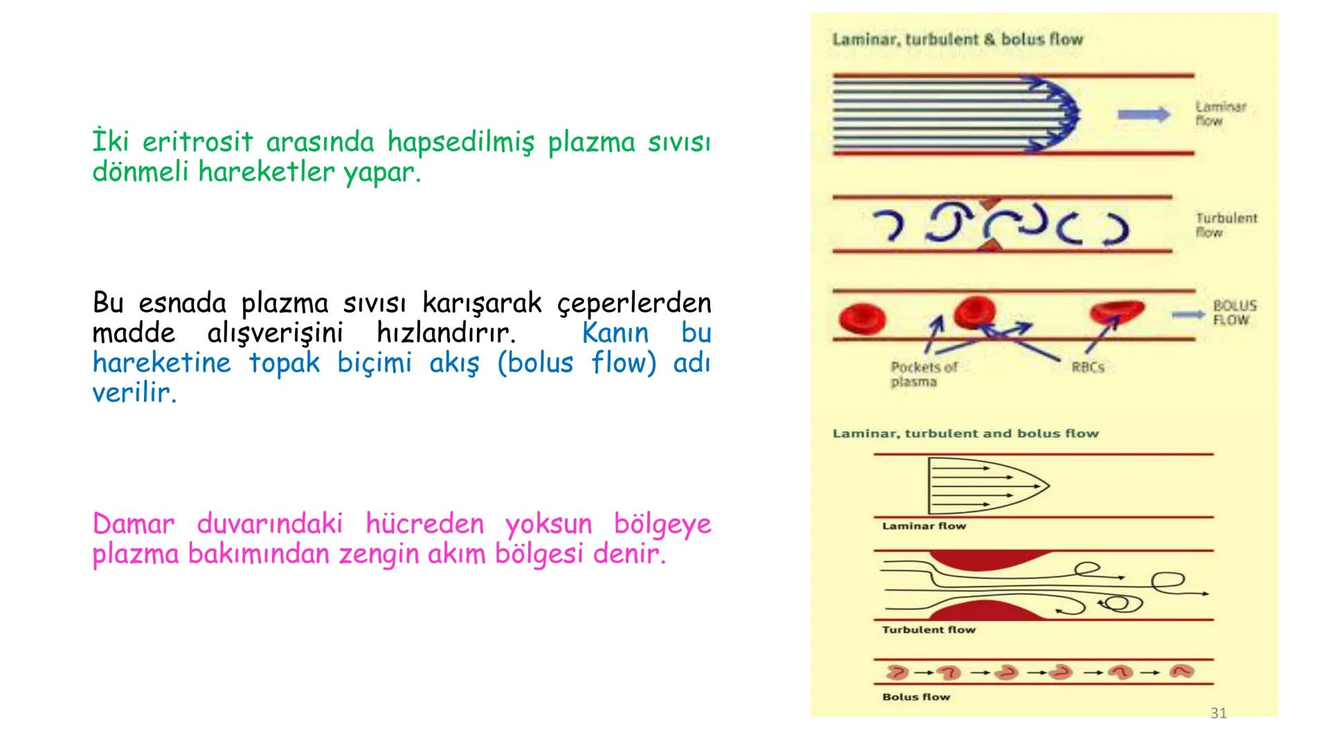 # BİYOFİZİĞE GİRİŞ
Doç. Dr. Nurten Bahtiyar Canlı varlıkların yapı ve işlevleri, tek bir disiplinin
içinden çıkamayacağı kadar karmaşıktır.