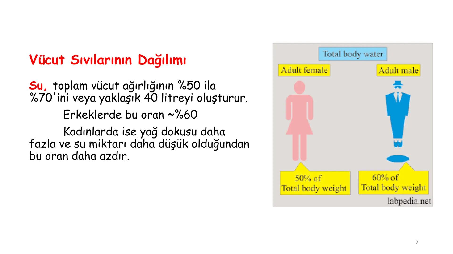 # BİYOFİZİĞE GİRİŞ
Doç. Dr. Nurten Bahtiyar Canlı varlıkların yapı ve işlevleri, tek bir disiplinin
içinden çıkamayacağı kadar karmaşıktır.