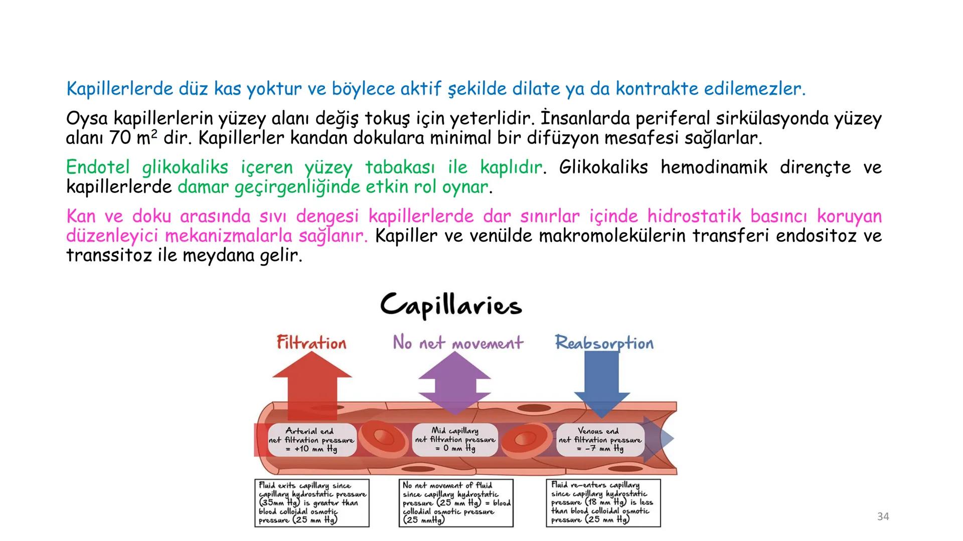 # BİYOFİZİĞE GİRİŞ
Doç. Dr. Nurten Bahtiyar Canlı varlıkların yapı ve işlevleri, tek bir disiplinin
içinden çıkamayacağı kadar karmaşıktır.