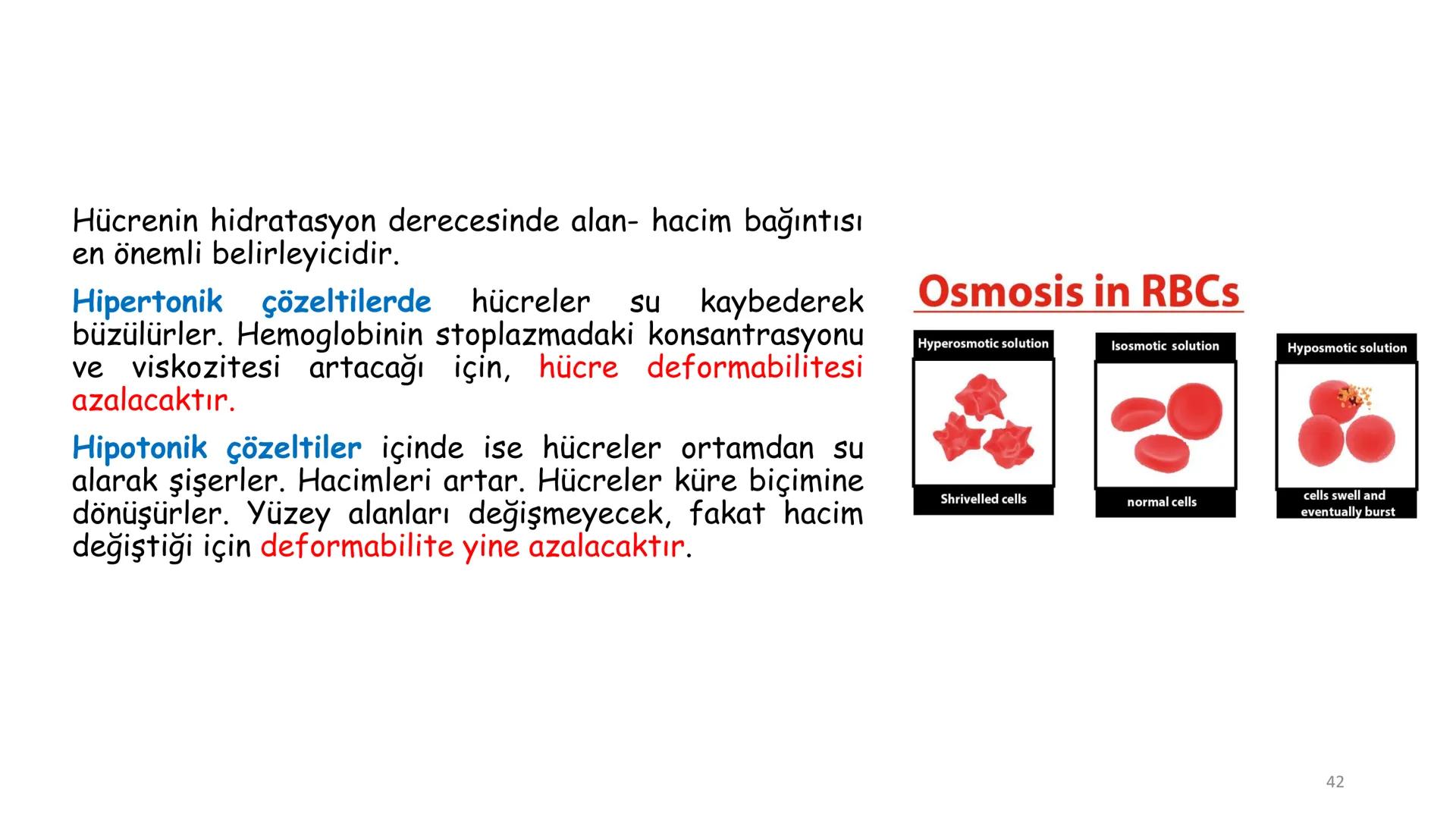 # BİYOFİZİĞE GİRİŞ
Doç. Dr. Nurten Bahtiyar Canlı varlıkların yapı ve işlevleri, tek bir disiplinin
içinden çıkamayacağı kadar karmaşıktır.
