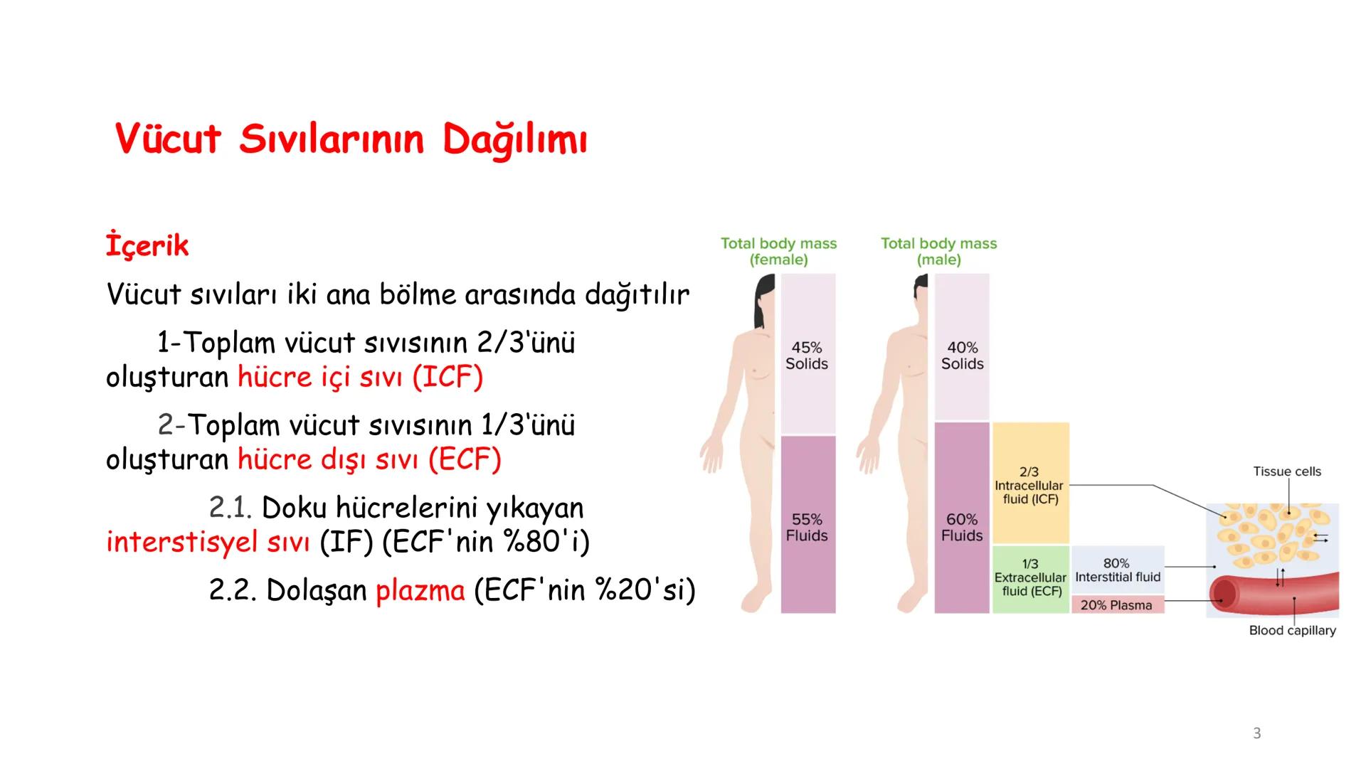 # BİYOFİZİĞE GİRİŞ
Doç. Dr. Nurten Bahtiyar Canlı varlıkların yapı ve işlevleri, tek bir disiplinin
içinden çıkamayacağı kadar karmaşıktır.