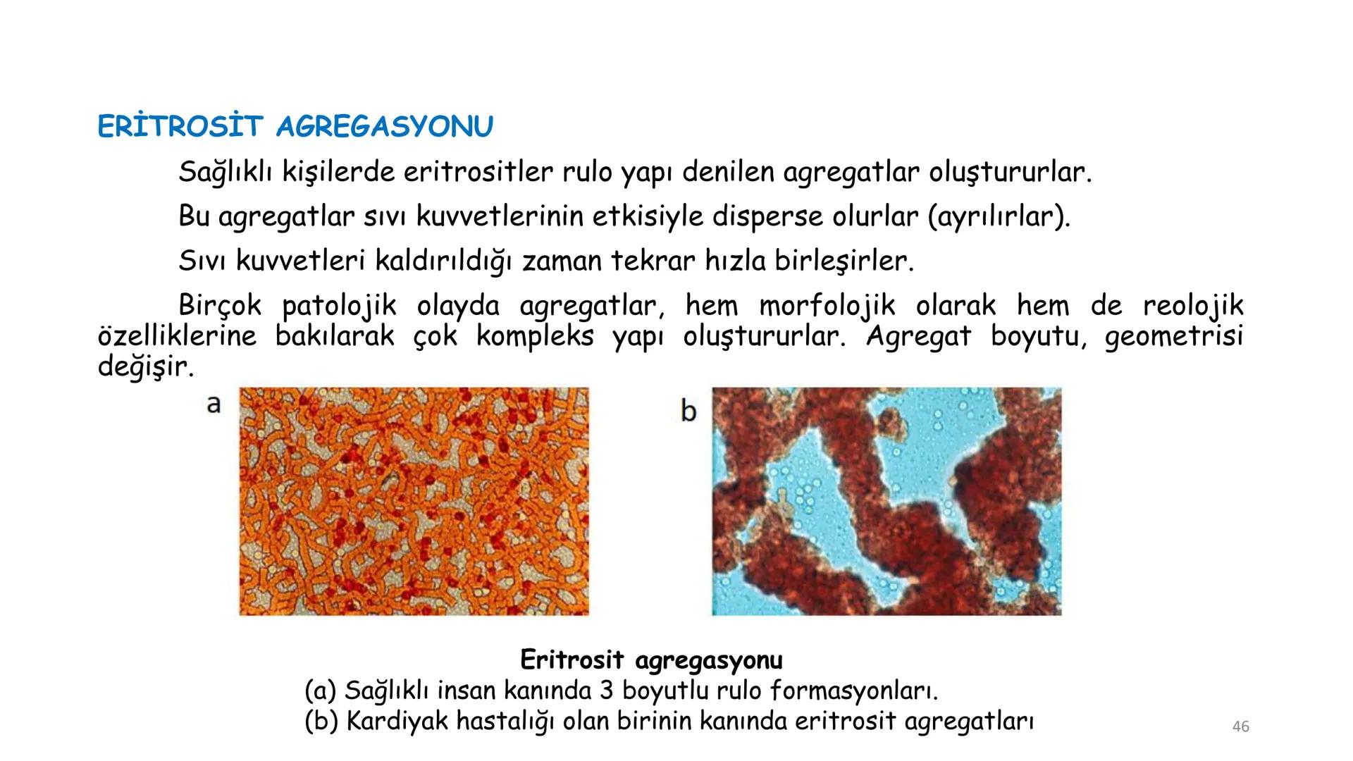 # BİYOFİZİĞE GİRİŞ
Doç. Dr. Nurten Bahtiyar Canlı varlıkların yapı ve işlevleri, tek bir disiplinin
içinden çıkamayacağı kadar karmaşıktır.