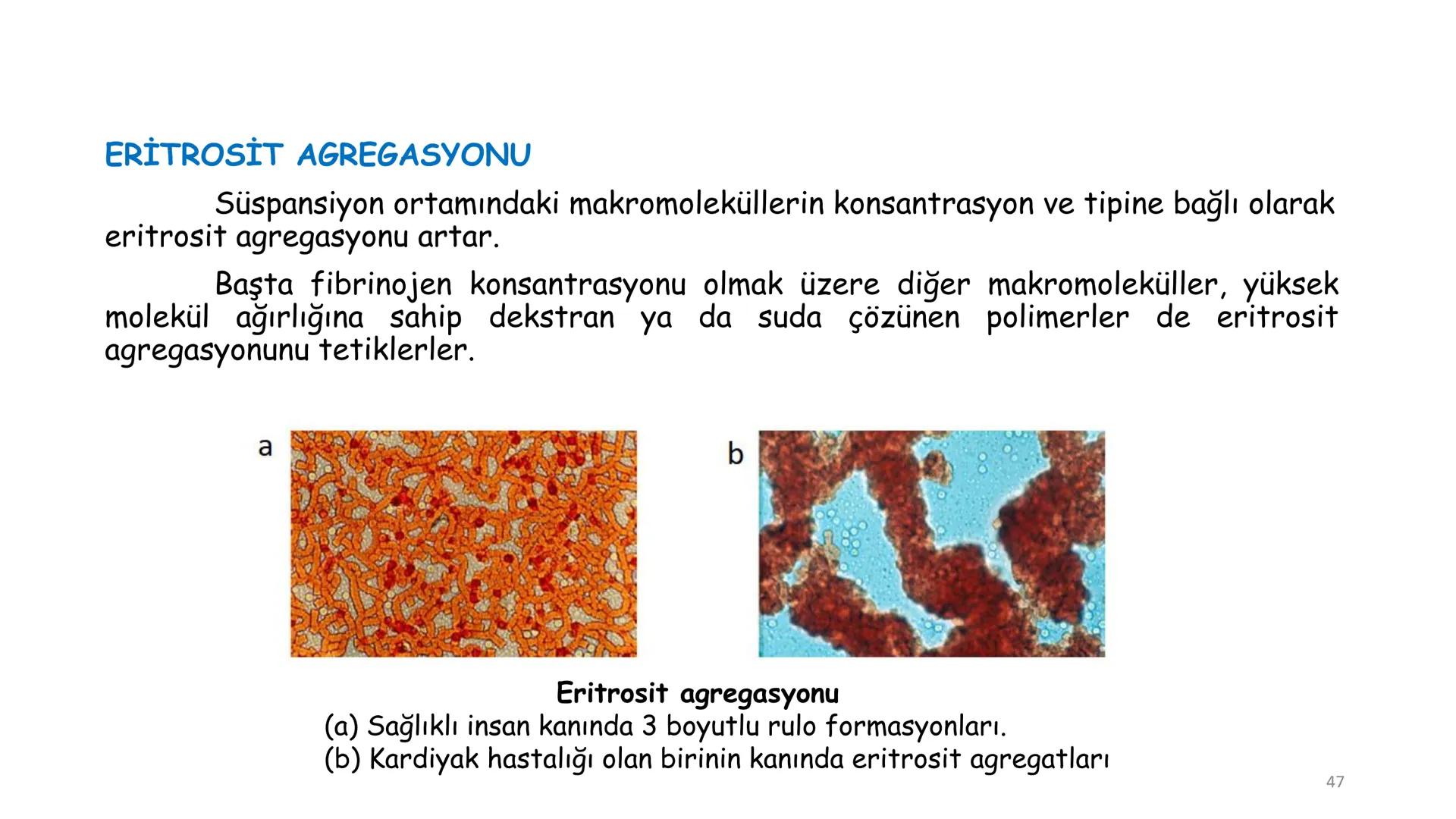 # BİYOFİZİĞE GİRİŞ
Doç. Dr. Nurten Bahtiyar Canlı varlıkların yapı ve işlevleri, tek bir disiplinin
içinden çıkamayacağı kadar karmaşıktır.