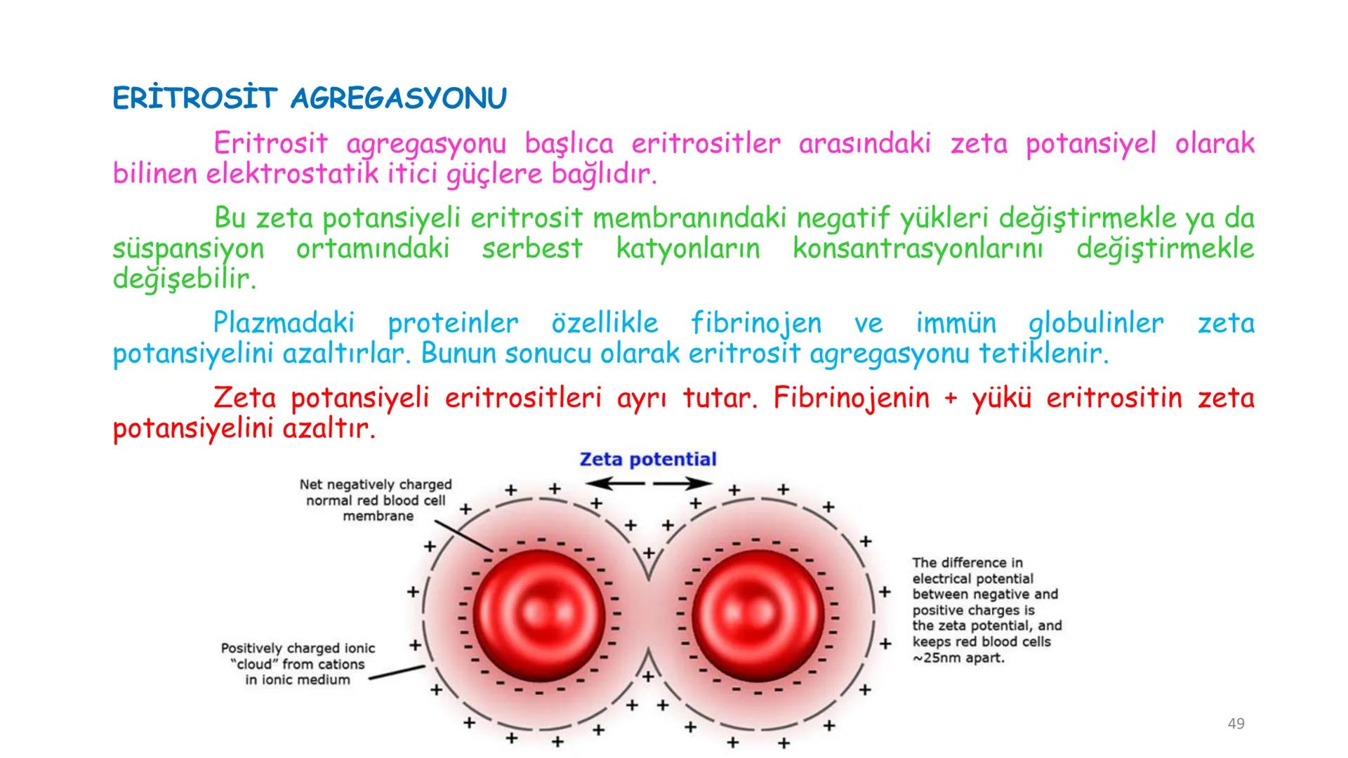 # BİYOFİZİĞE GİRİŞ
Doç. Dr. Nurten Bahtiyar Canlı varlıkların yapı ve işlevleri, tek bir disiplinin
içinden çıkamayacağı kadar karmaşıktır.