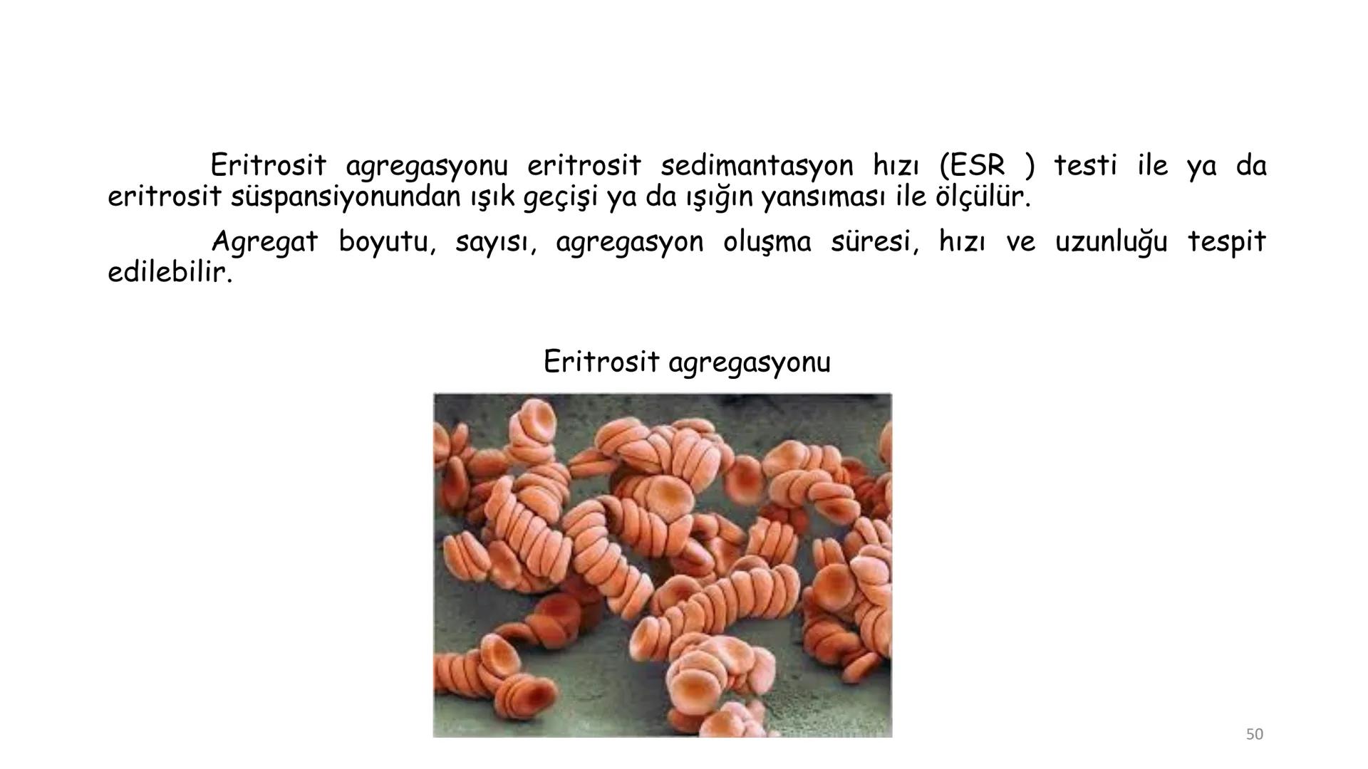 # BİYOFİZİĞE GİRİŞ
Doç. Dr. Nurten Bahtiyar Canlı varlıkların yapı ve işlevleri, tek bir disiplinin
içinden çıkamayacağı kadar karmaşıktır.