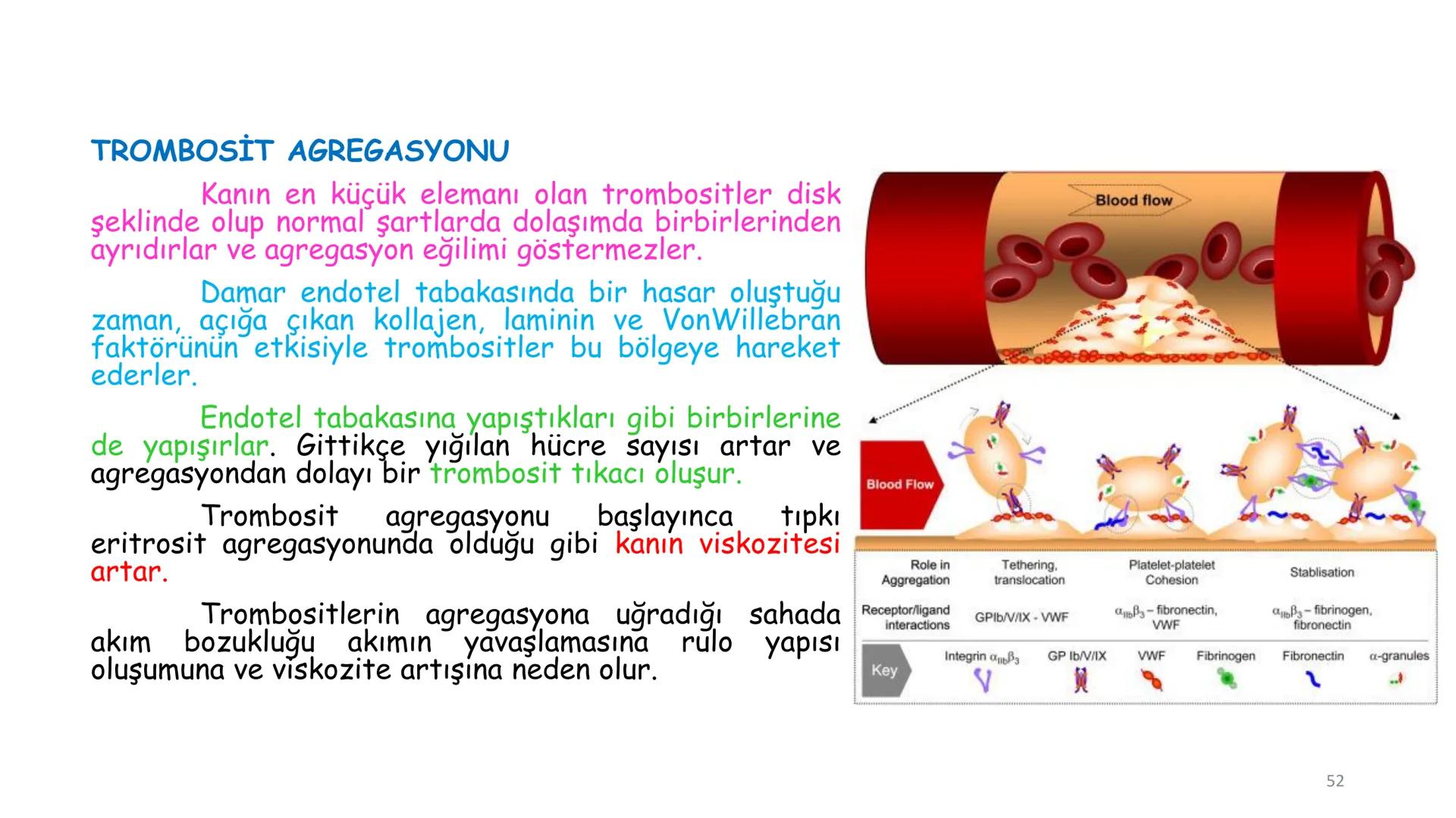 # BİYOFİZİĞE GİRİŞ
Doç. Dr. Nurten Bahtiyar Canlı varlıkların yapı ve işlevleri, tek bir disiplinin
içinden çıkamayacağı kadar karmaşıktır.