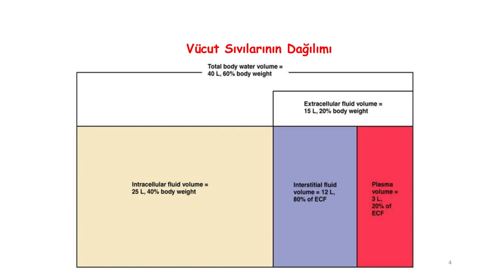 # BİYOFİZİĞE GİRİŞ
Doç. Dr. Nurten Bahtiyar Canlı varlıkların yapı ve işlevleri, tek bir disiplinin
içinden çıkamayacağı kadar karmaşıktır.