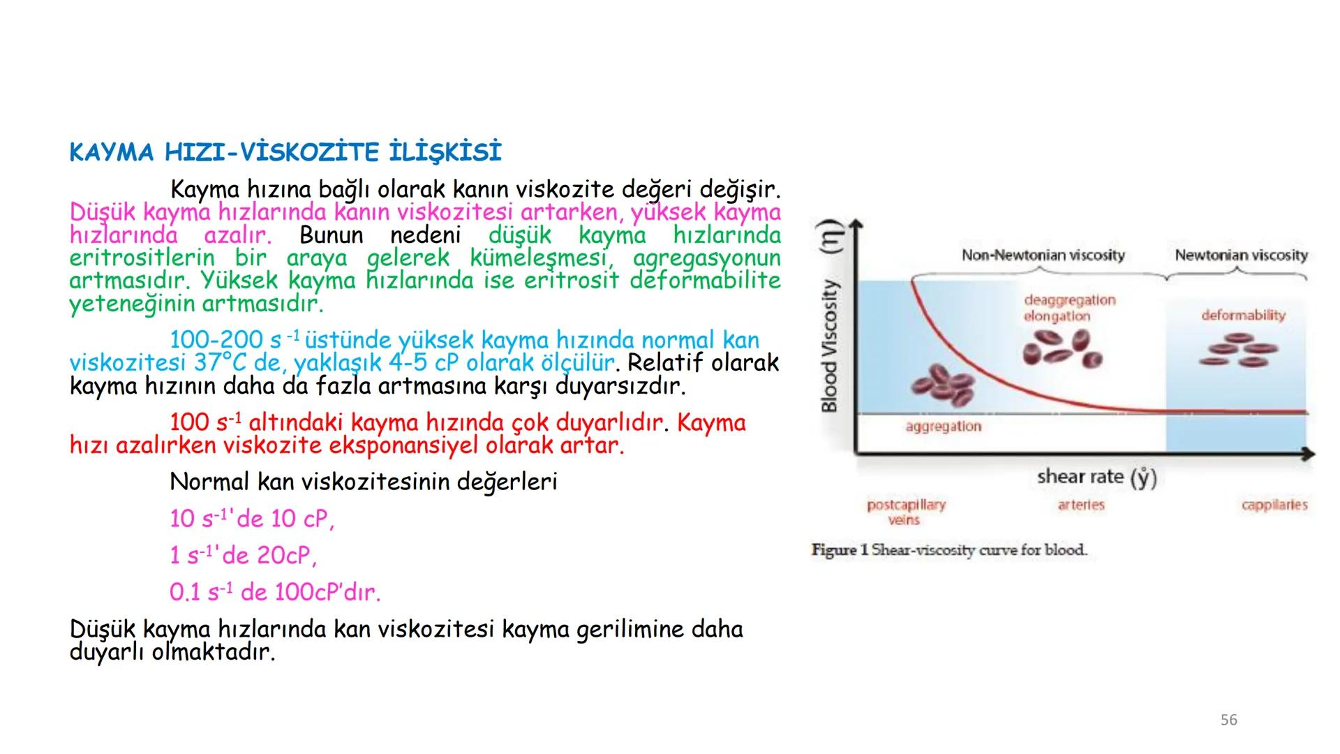 # BİYOFİZİĞE GİRİŞ
Doç. Dr. Nurten Bahtiyar Canlı varlıkların yapı ve işlevleri, tek bir disiplinin
içinden çıkamayacağı kadar karmaşıktır.