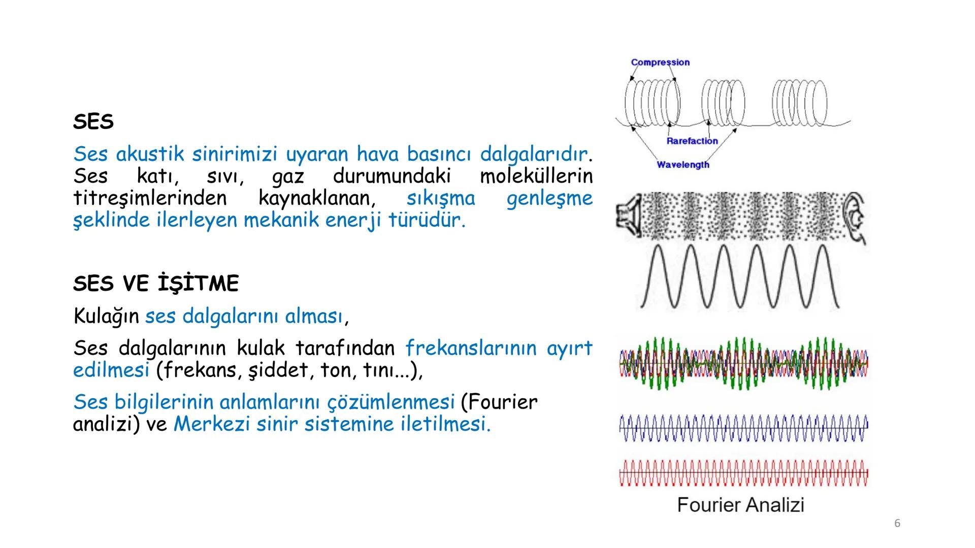 # BİYOFİZİĞE GİRİŞ
Doç. Dr. Nurten Bahtiyar Canlı varlıkların yapı ve işlevleri, tek bir disiplinin
içinden çıkamayacağı kadar karmaşıktır.