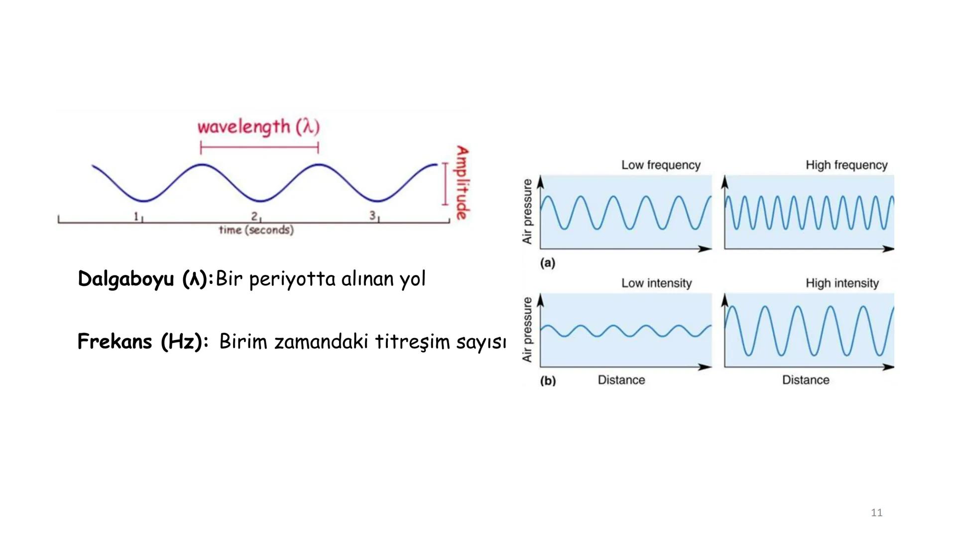 # BİYOFİZİĞE GİRİŞ
Doç. Dr. Nurten Bahtiyar Canlı varlıkların yapı ve işlevleri, tek bir disiplinin
içinden çıkamayacağı kadar karmaşıktır.