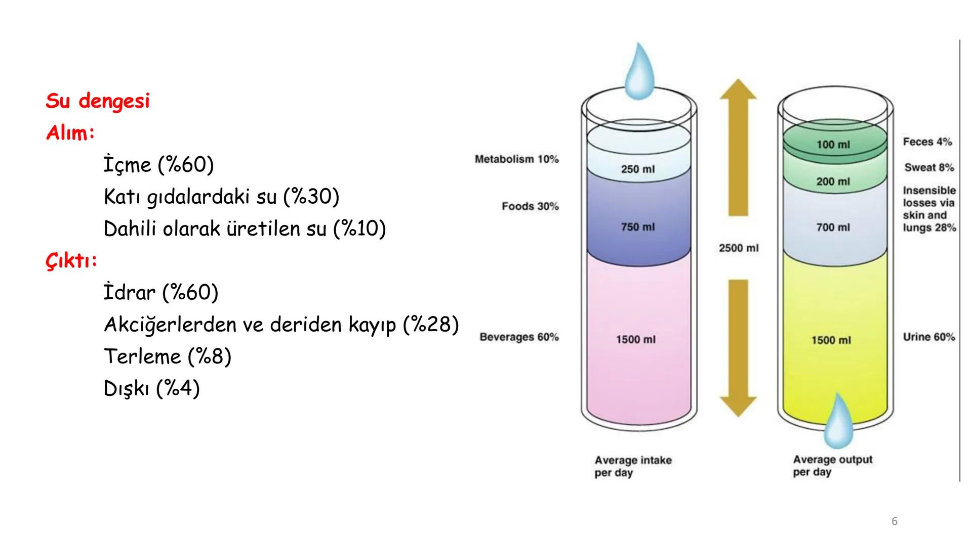 # BİYOFİZİĞE GİRİŞ
Doç. Dr. Nurten Bahtiyar Canlı varlıkların yapı ve işlevleri, tek bir disiplinin
içinden çıkamayacağı kadar karmaşıktır.