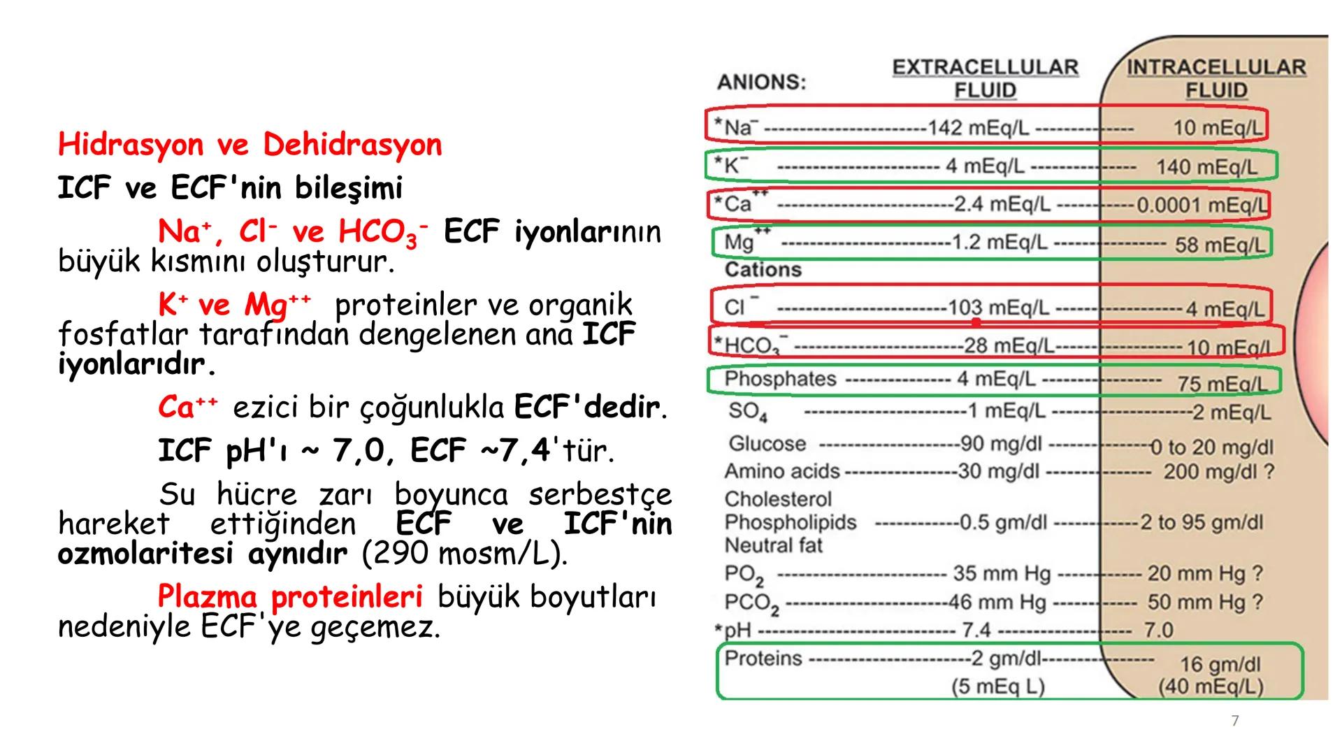 # BİYOFİZİĞE GİRİŞ
Doç. Dr. Nurten Bahtiyar Canlı varlıkların yapı ve işlevleri, tek bir disiplinin
içinden çıkamayacağı kadar karmaşıktır.