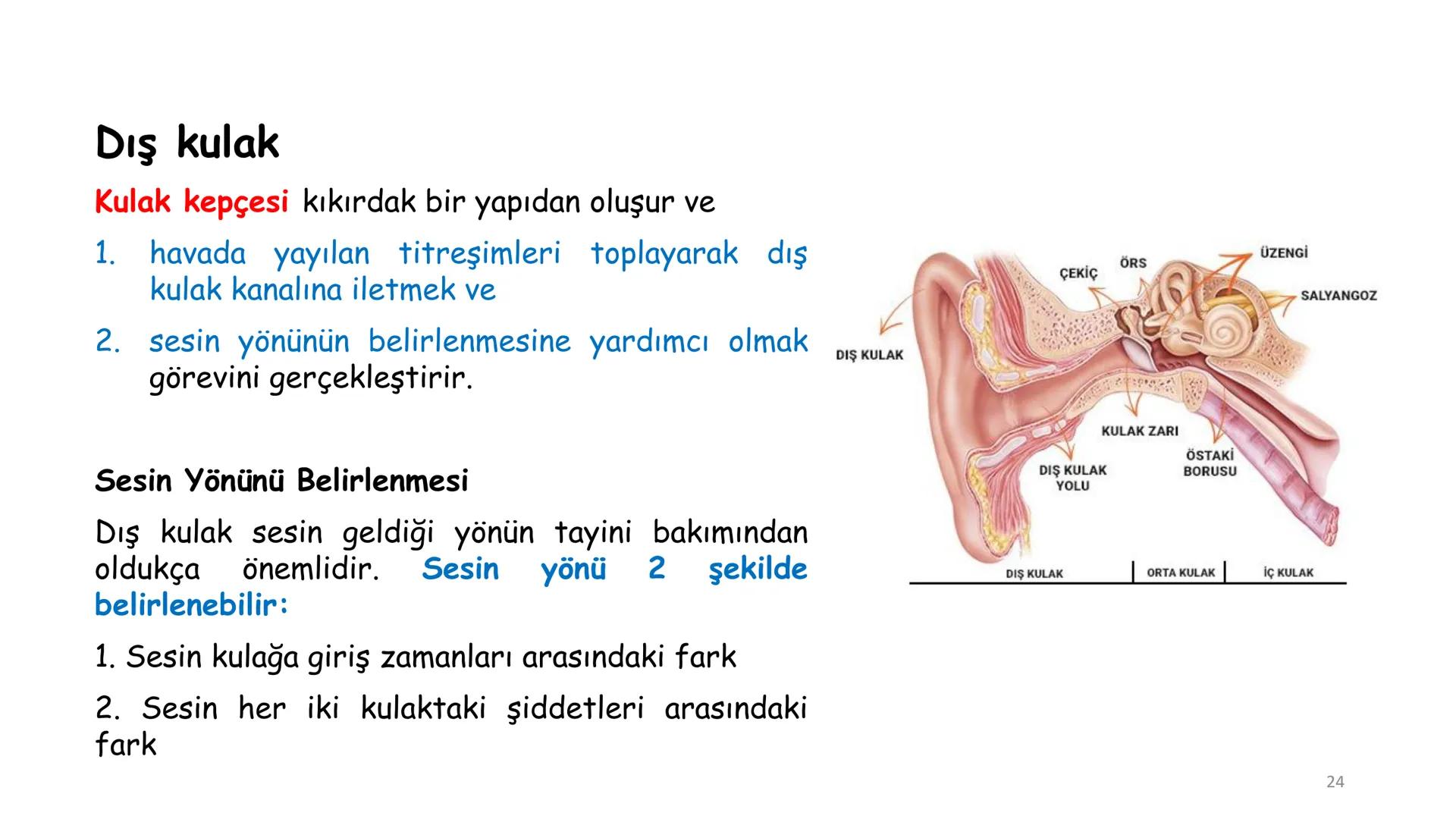 # BİYOFİZİĞE GİRİŞ
Doç. Dr. Nurten Bahtiyar Canlı varlıkların yapı ve işlevleri, tek bir disiplinin
içinden çıkamayacağı kadar karmaşıktır.