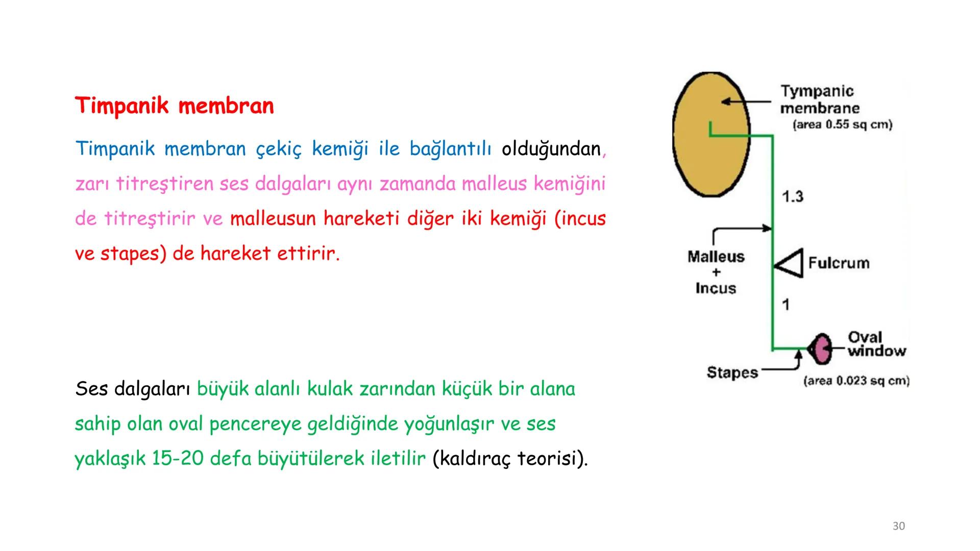 # BİYOFİZİĞE GİRİŞ
Doç. Dr. Nurten Bahtiyar Canlı varlıkların yapı ve işlevleri, tek bir disiplinin
içinden çıkamayacağı kadar karmaşıktır.
