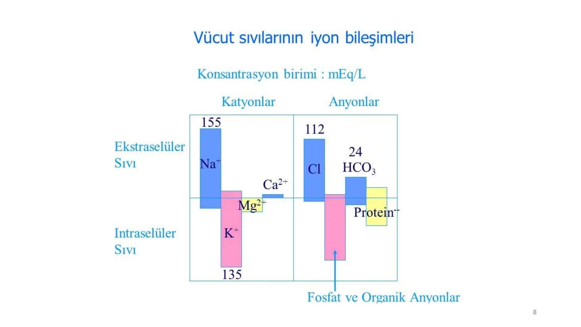 # BİYOFİZİĞE GİRİŞ
Doç. Dr. Nurten Bahtiyar Canlı varlıkların yapı ve işlevleri, tek bir disiplinin
içinden çıkamayacağı kadar karmaşıktır.