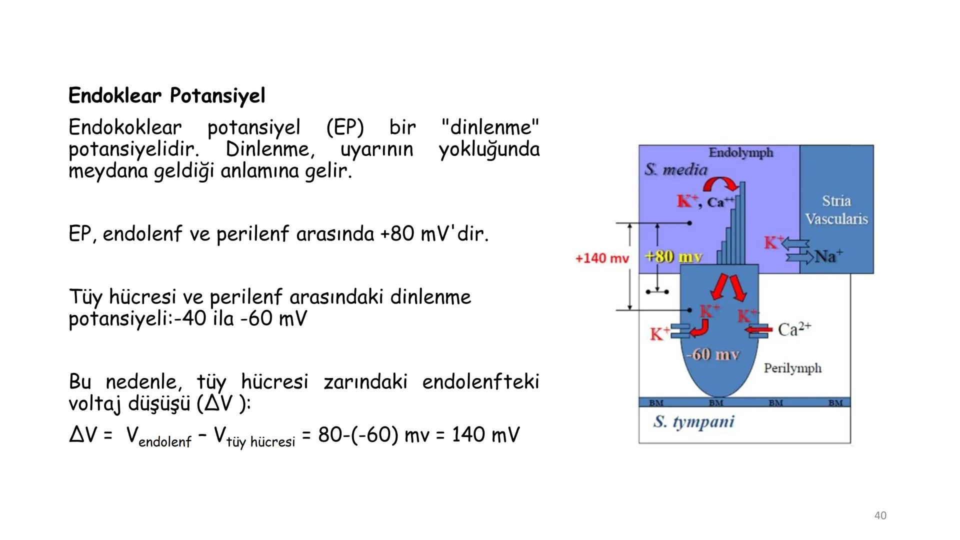 # BİYOFİZİĞE GİRİŞ
Doç. Dr. Nurten Bahtiyar Canlı varlıkların yapı ve işlevleri, tek bir disiplinin
içinden çıkamayacağı kadar karmaşıktır.