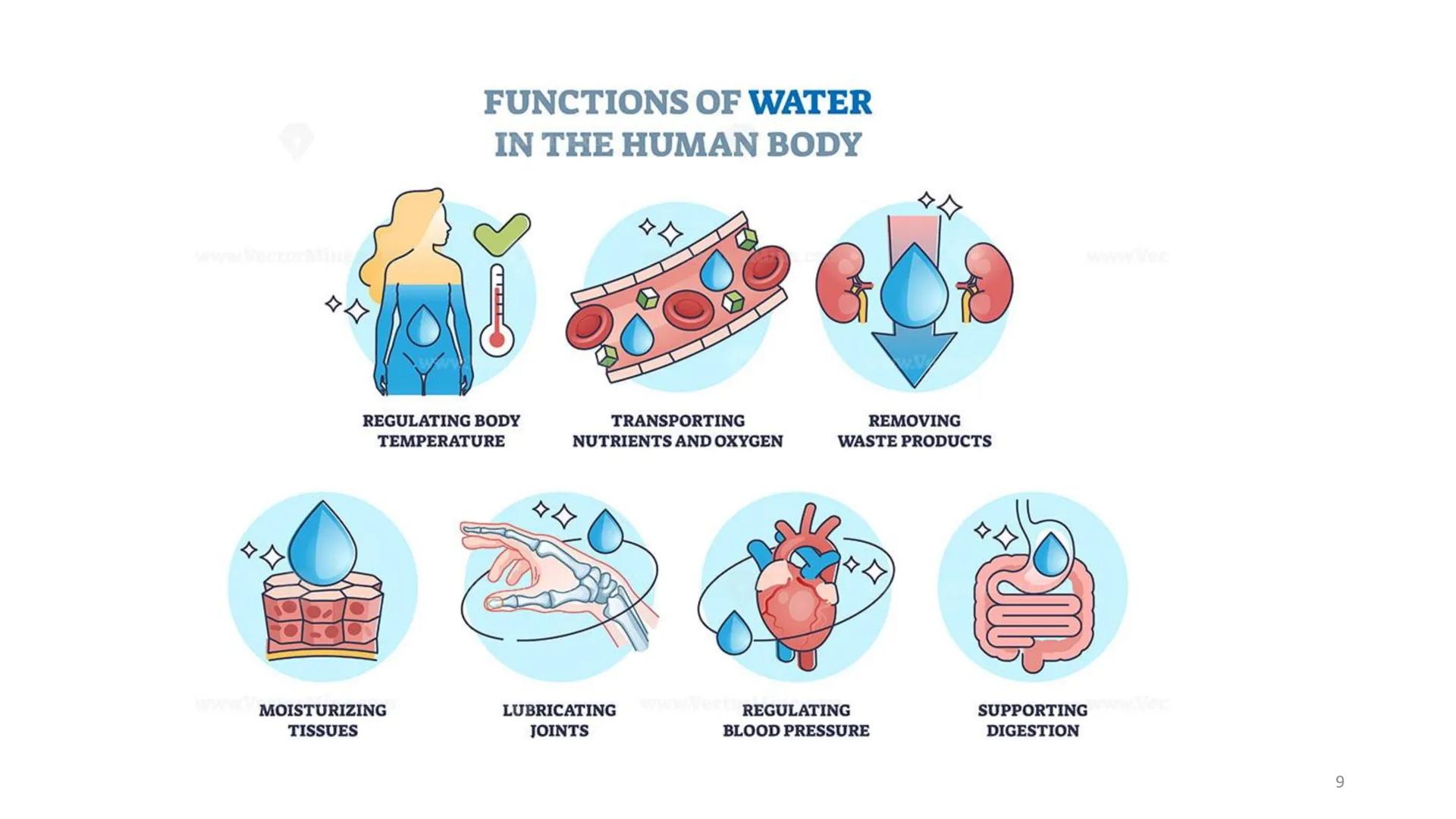 # BİYOFİZİĞE GİRİŞ
Doç. Dr. Nurten Bahtiyar Canlı varlıkların yapı ve işlevleri, tek bir disiplinin
içinden çıkamayacağı kadar karmaşıktır.