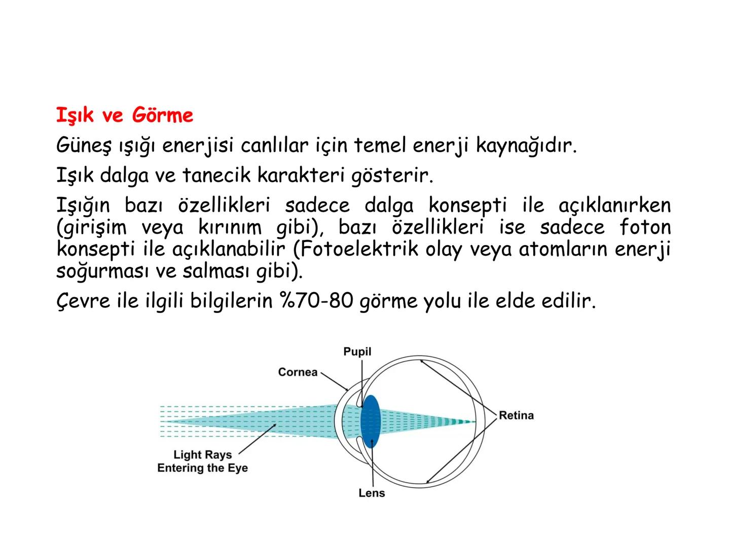 # BİYOFİZİĞE GİRİŞ
Doç. Dr. Nurten Bahtiyar Canlı varlıkların yapı ve işlevleri, tek bir disiplinin
içinden çıkamayacağı kadar karmaşıktır.