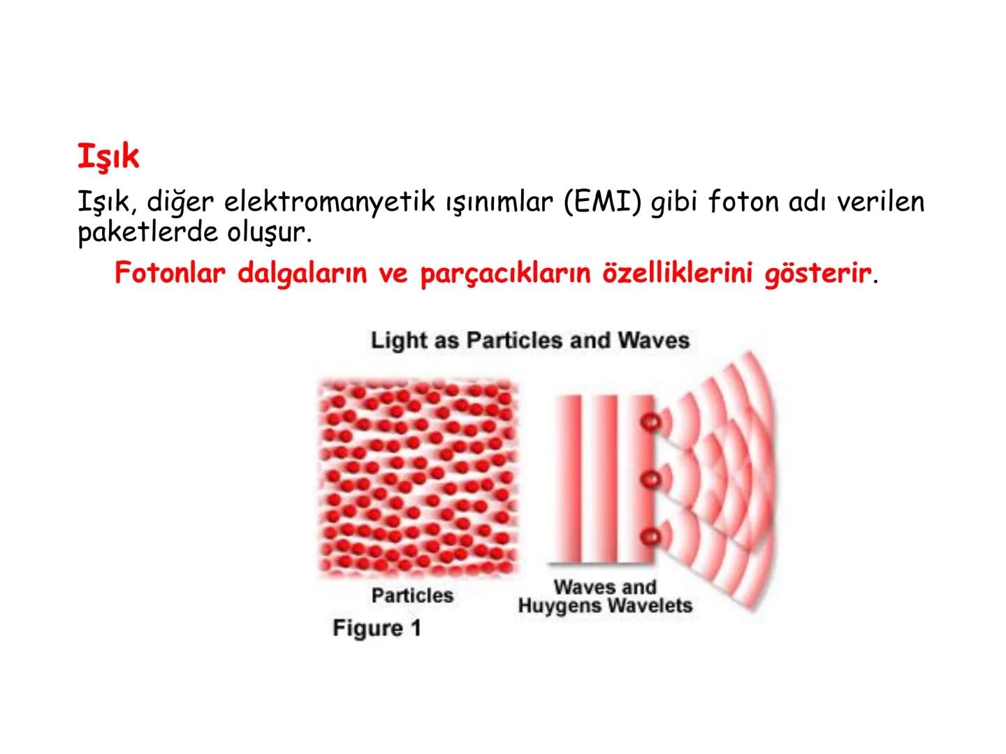 # BİYOFİZİĞE GİRİŞ
Doç. Dr. Nurten Bahtiyar Canlı varlıkların yapı ve işlevleri, tek bir disiplinin
içinden çıkamayacağı kadar karmaşıktır.