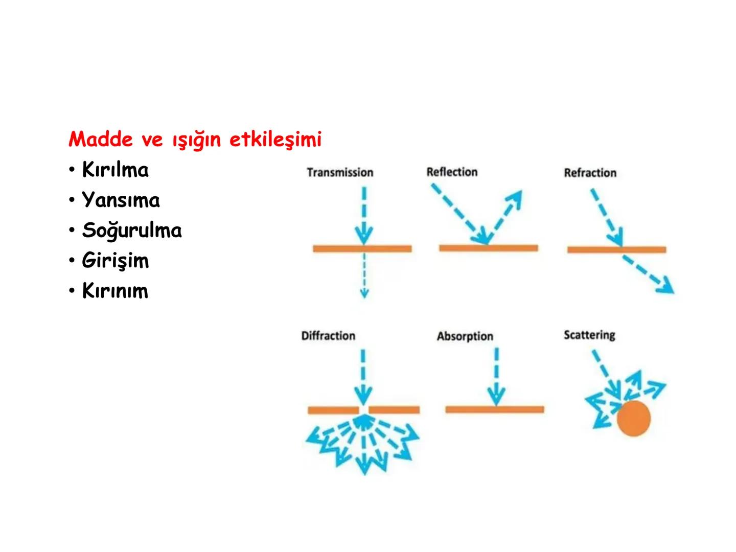 # BİYOFİZİĞE GİRİŞ
Doç. Dr. Nurten Bahtiyar Canlı varlıkların yapı ve işlevleri, tek bir disiplinin
içinden çıkamayacağı kadar karmaşıktır.