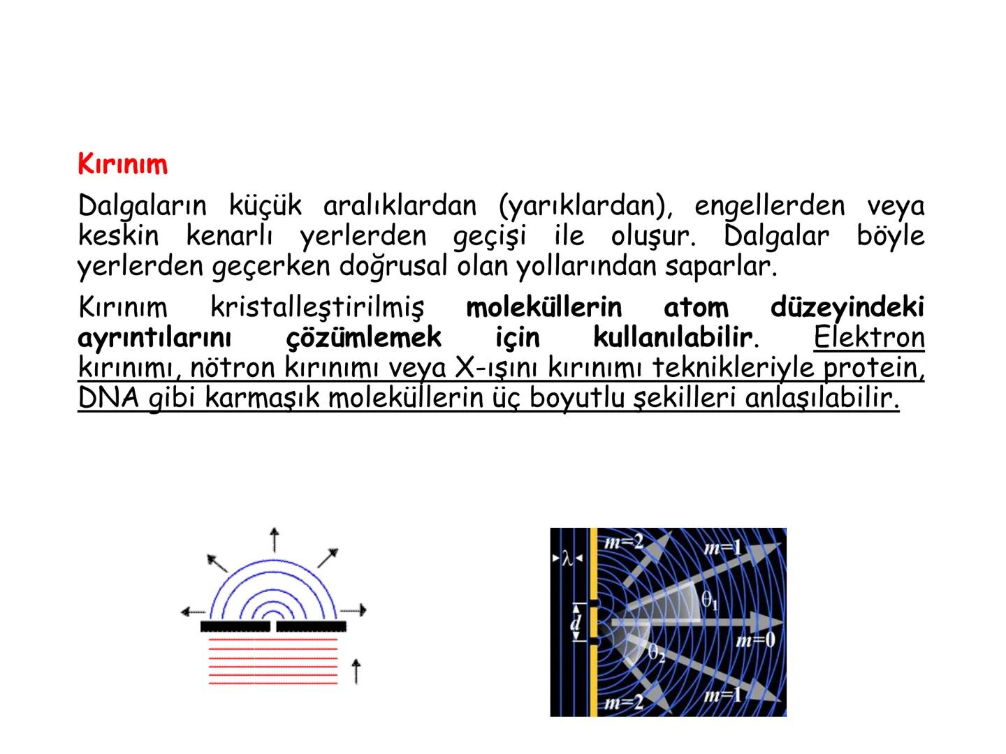 # BİYOFİZİĞE GİRİŞ
Doç. Dr. Nurten Bahtiyar Canlı varlıkların yapı ve işlevleri, tek bir disiplinin
içinden çıkamayacağı kadar karmaşıktır.
