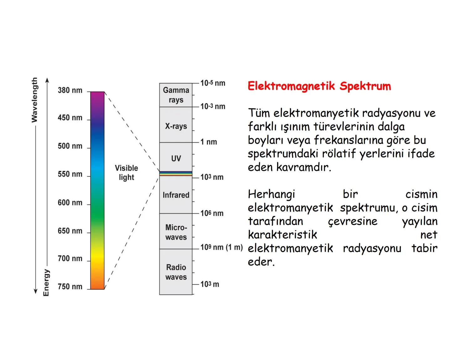 # BİYOFİZİĞE GİRİŞ
Doç. Dr. Nurten Bahtiyar Canlı varlıkların yapı ve işlevleri, tek bir disiplinin
içinden çıkamayacağı kadar karmaşıktır.