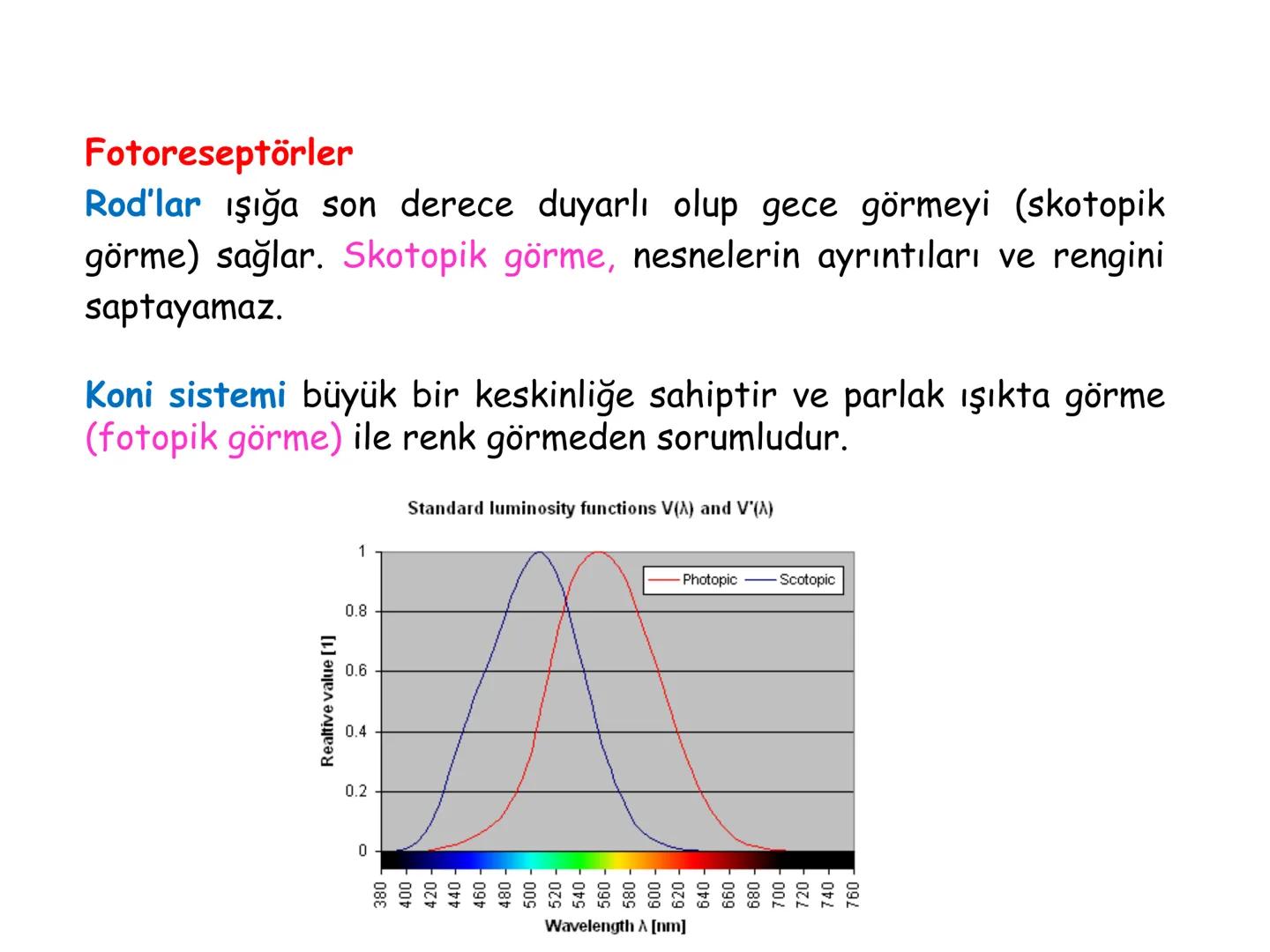 # BİYOFİZİĞE GİRİŞ
Doç. Dr. Nurten Bahtiyar Canlı varlıkların yapı ve işlevleri, tek bir disiplinin
içinden çıkamayacağı kadar karmaşıktır.