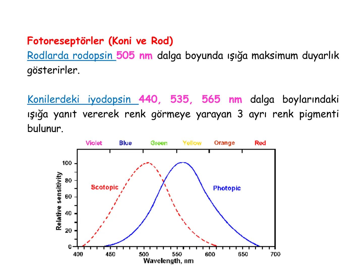 # BİYOFİZİĞE GİRİŞ
Doç. Dr. Nurten Bahtiyar Canlı varlıkların yapı ve işlevleri, tek bir disiplinin
içinden çıkamayacağı kadar karmaşıktır.