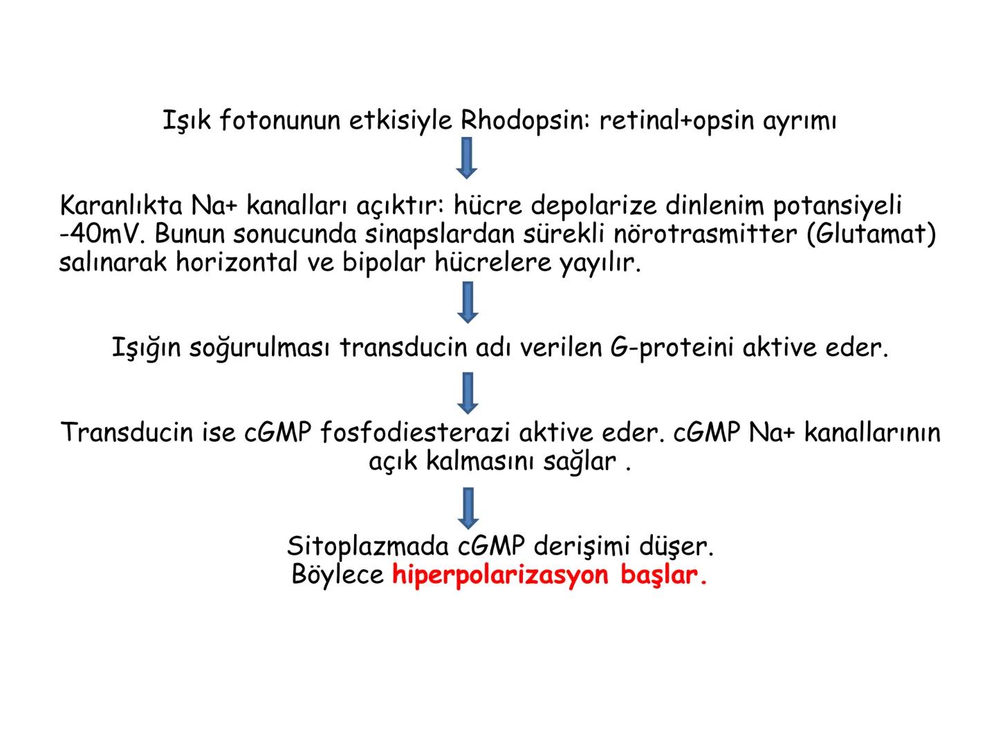 # BİYOFİZİĞE GİRİŞ
Doç. Dr. Nurten Bahtiyar Canlı varlıkların yapı ve işlevleri, tek bir disiplinin
içinden çıkamayacağı kadar karmaşıktır.