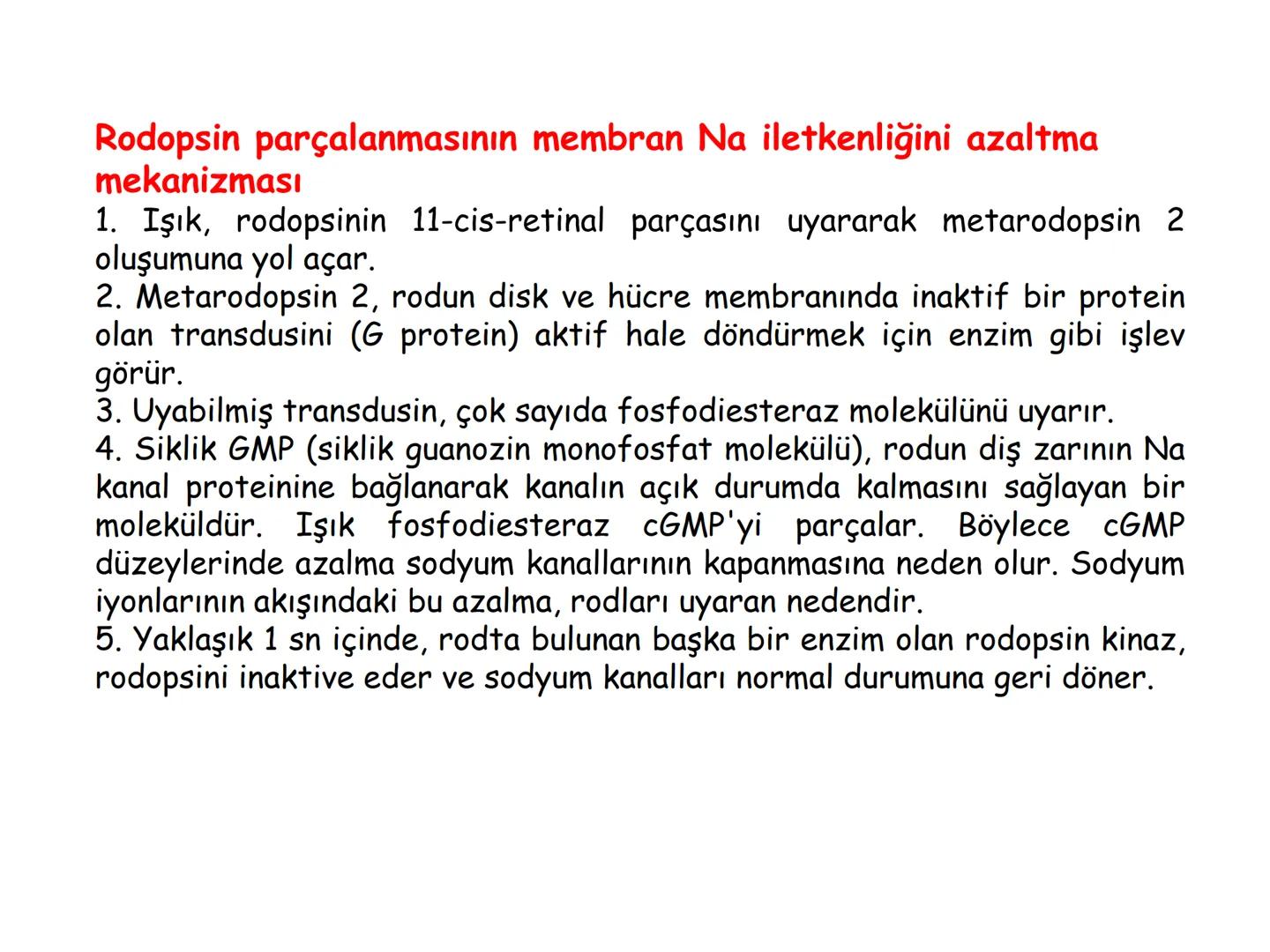 # BİYOFİZİĞE GİRİŞ
Doç. Dr. Nurten Bahtiyar Canlı varlıkların yapı ve işlevleri, tek bir disiplinin
içinden çıkamayacağı kadar karmaşıktır.
