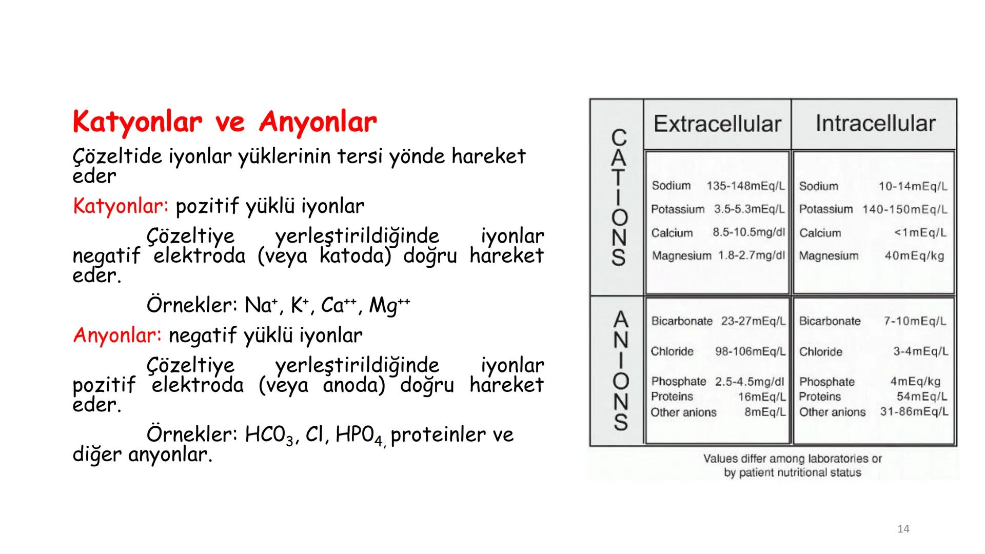 # BİYOFİZİĞE GİRİŞ
Doç. Dr. Nurten Bahtiyar Canlı varlıkların yapı ve işlevleri, tek bir disiplinin
içinden çıkamayacağı kadar karmaşıktır.