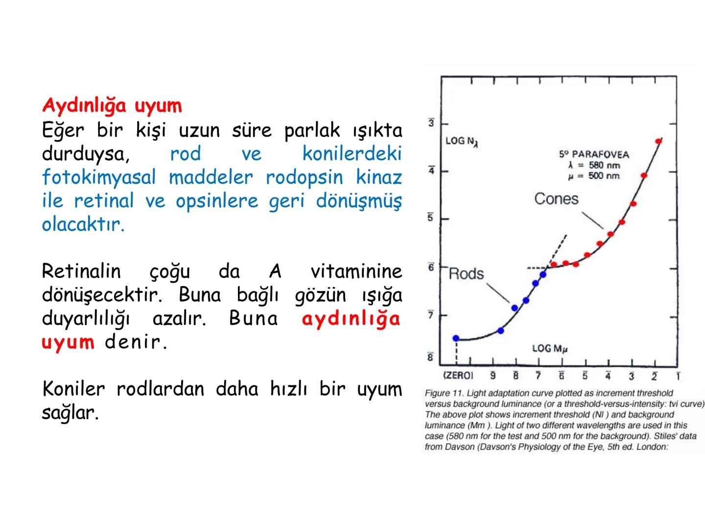 # BİYOFİZİĞE GİRİŞ
Doç. Dr. Nurten Bahtiyar Canlı varlıkların yapı ve işlevleri, tek bir disiplinin
içinden çıkamayacağı kadar karmaşıktır.