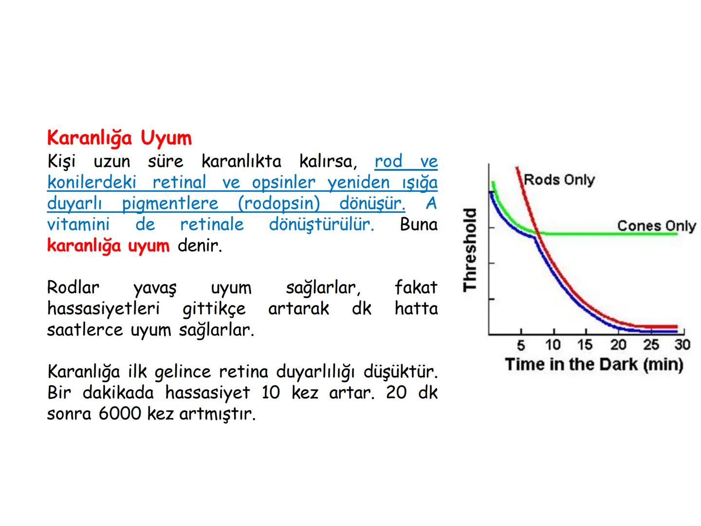 # BİYOFİZİĞE GİRİŞ
Doç. Dr. Nurten Bahtiyar Canlı varlıkların yapı ve işlevleri, tek bir disiplinin
içinden çıkamayacağı kadar karmaşıktır.