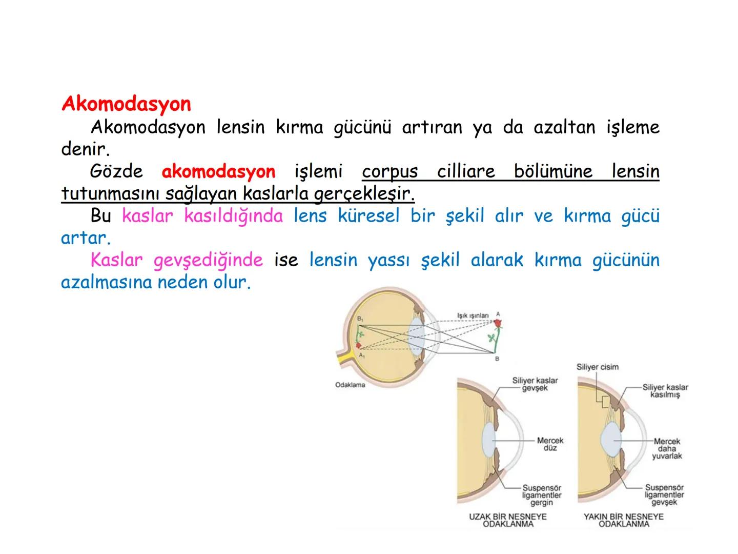 # BİYOFİZİĞE GİRİŞ
Doç. Dr. Nurten Bahtiyar Canlı varlıkların yapı ve işlevleri, tek bir disiplinin
içinden çıkamayacağı kadar karmaşıktır.