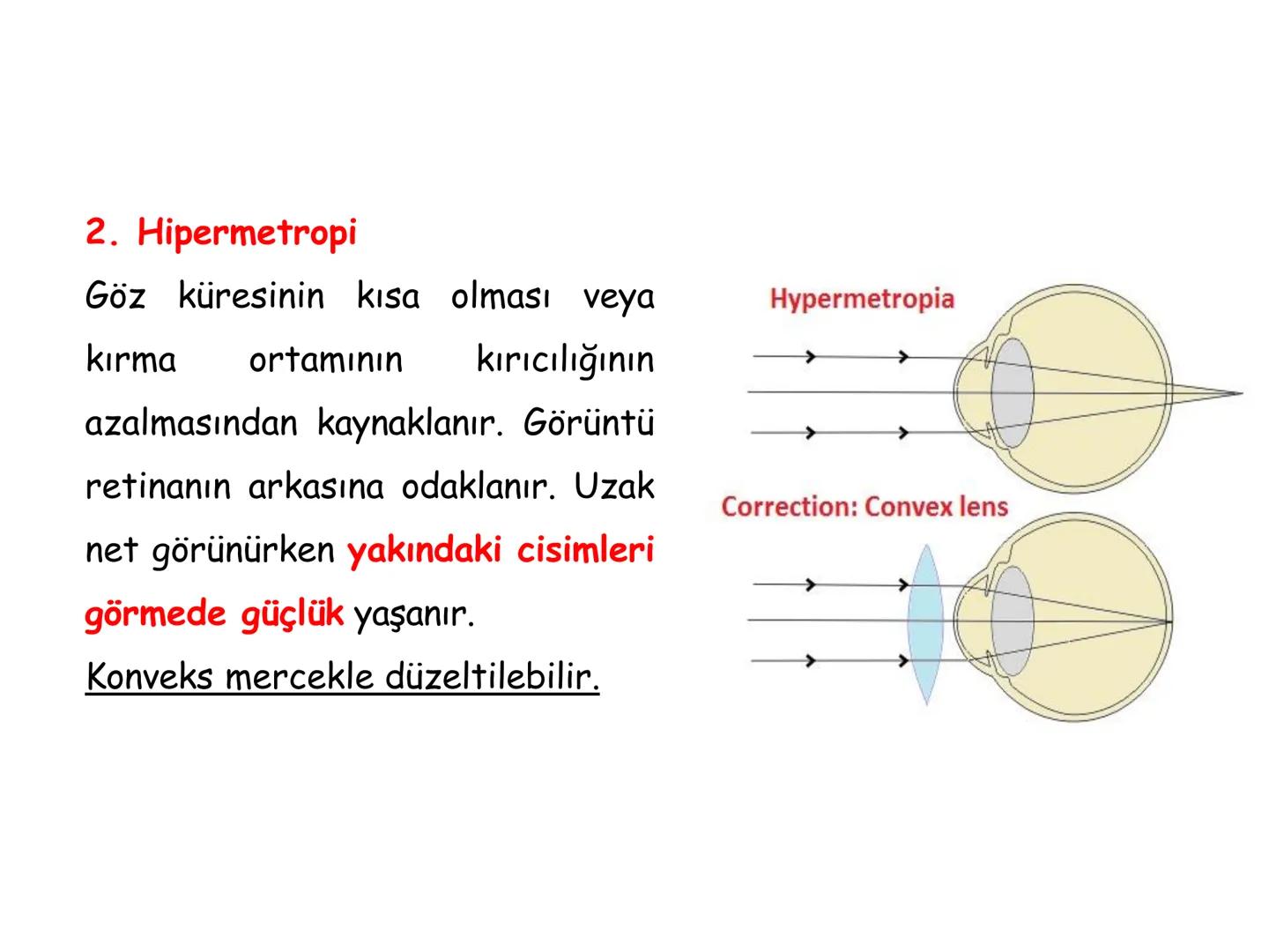 # BİYOFİZİĞE GİRİŞ
Doç. Dr. Nurten Bahtiyar Canlı varlıkların yapı ve işlevleri, tek bir disiplinin
içinden çıkamayacağı kadar karmaşıktır.