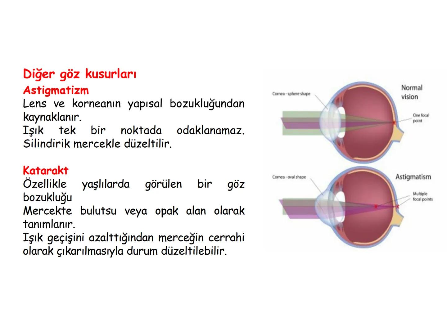 # BİYOFİZİĞE GİRİŞ
Doç. Dr. Nurten Bahtiyar Canlı varlıkların yapı ve işlevleri, tek bir disiplinin
içinden çıkamayacağı kadar karmaşıktır.