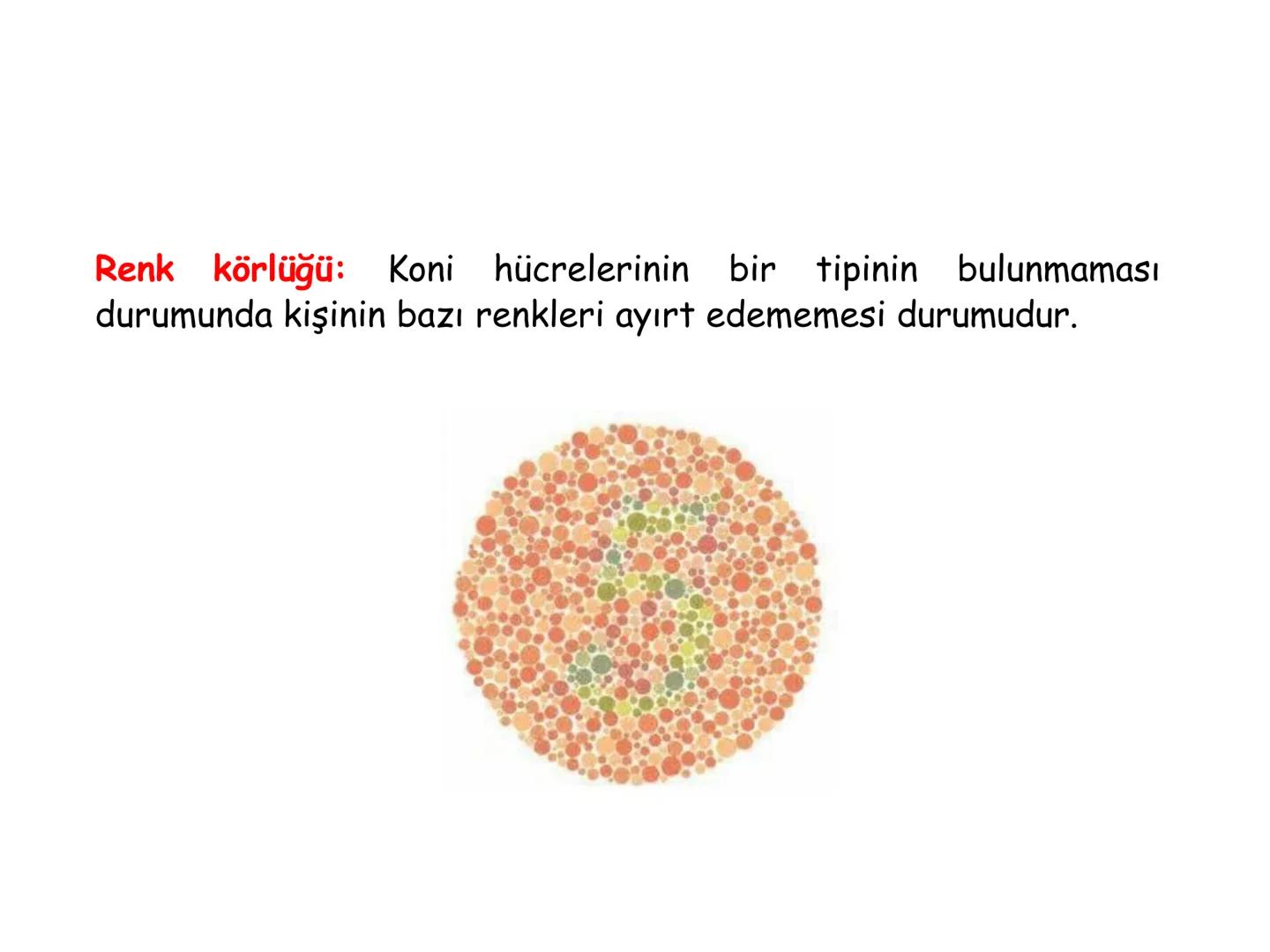 # BİYOFİZİĞE GİRİŞ
Doç. Dr. Nurten Bahtiyar Canlı varlıkların yapı ve işlevleri, tek bir disiplinin
içinden çıkamayacağı kadar karmaşıktır.