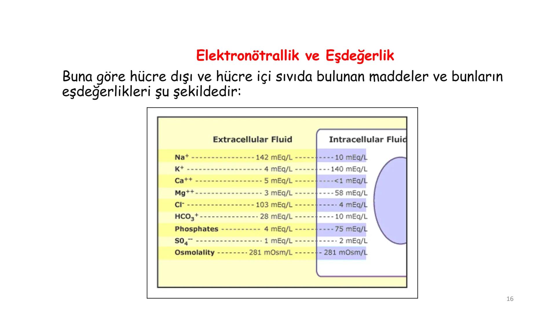 # BİYOFİZİĞE GİRİŞ
Doç. Dr. Nurten Bahtiyar Canlı varlıkların yapı ve işlevleri, tek bir disiplinin
içinden çıkamayacağı kadar karmaşıktır.