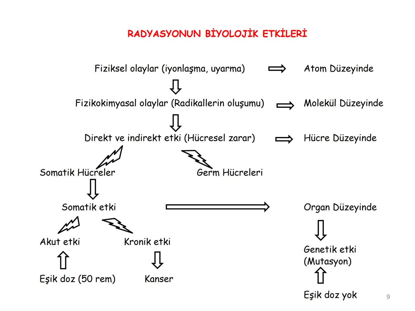 # BİYOFİZİĞE GİRİŞ
Doç. Dr. Nurten Bahtiyar Canlı varlıkların yapı ve işlevleri, tek bir disiplinin
içinden çıkamayacağı kadar karmaşıktır.